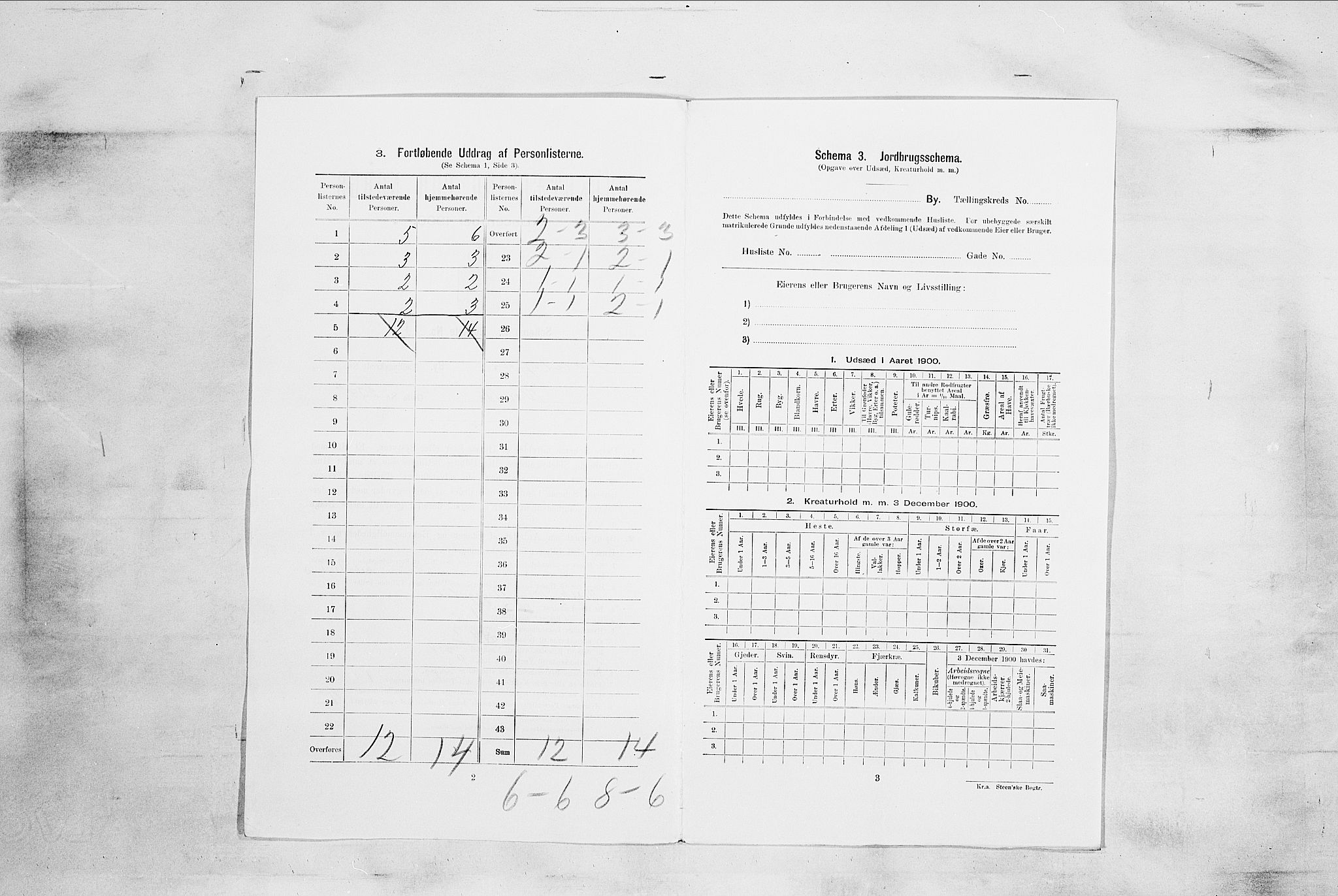 RA, 1900 census for Sandefjord, 1900, p. 886