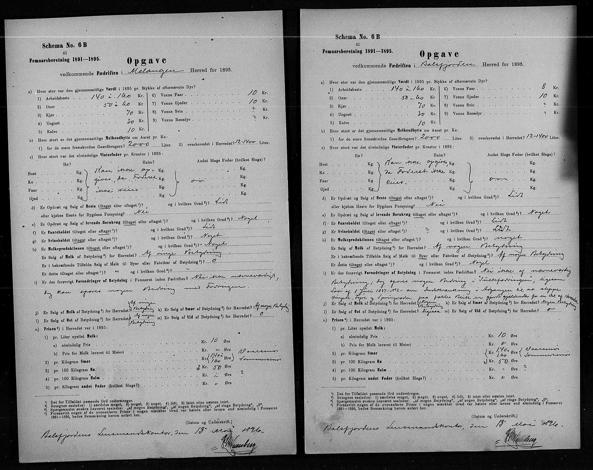 Statistisk sentralbyrå, Næringsøkonomiske emner, Generelt - Amtmennenes femårsberetninger, AV/RA-S-2233/F/Fa/L0080: --, 1895, p. 248