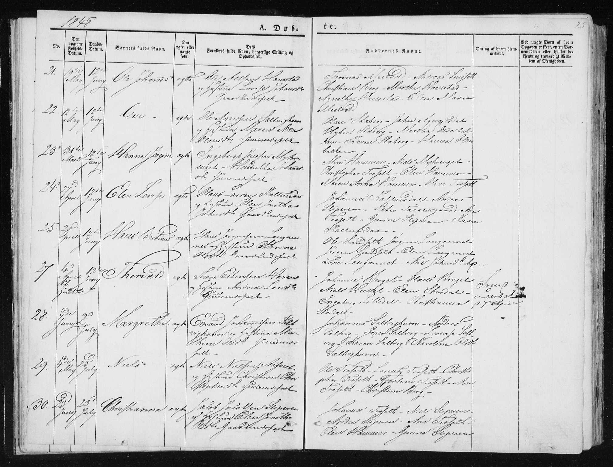 Ministerialprotokoller, klokkerbøker og fødselsregistre - Nord-Trøndelag, AV/SAT-A-1458/733/L0323: Parish register (official) no. 733A02, 1843-1870, p. 25