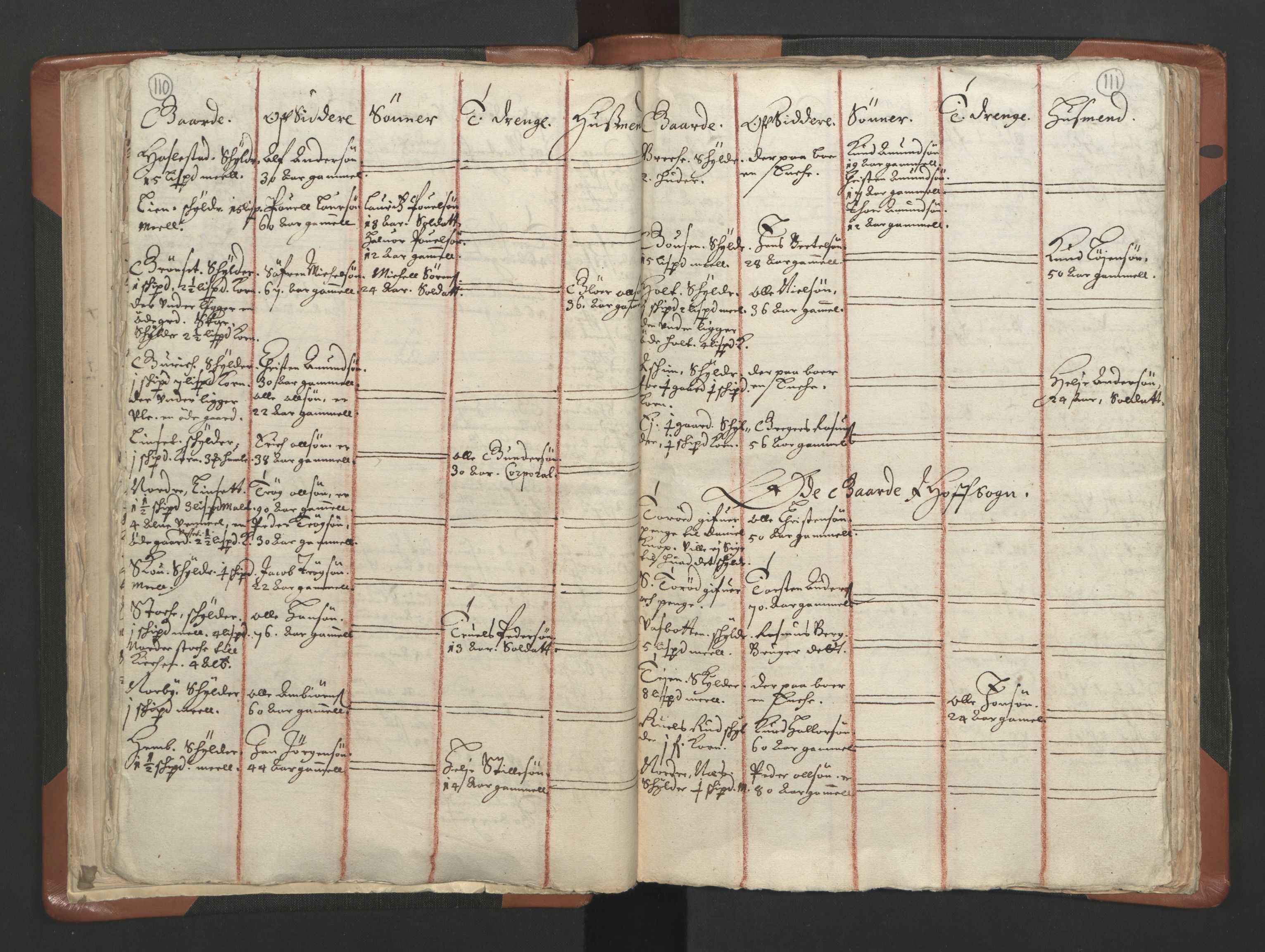 RA, Vicar's Census 1664-1666, no. 10: Tønsberg deanery, 1664-1666, p. 110-111