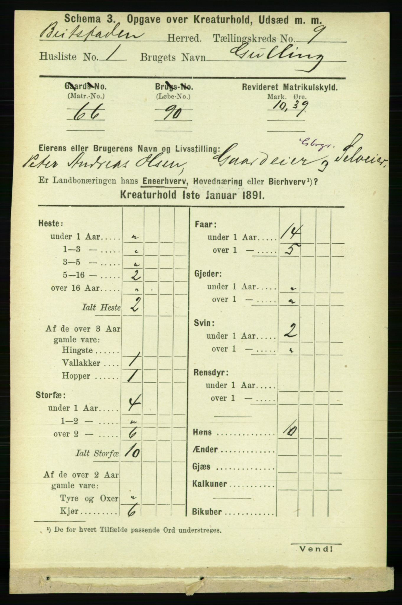 RA, 1891 census for 1727 Beitstad, 1891, p. 6095