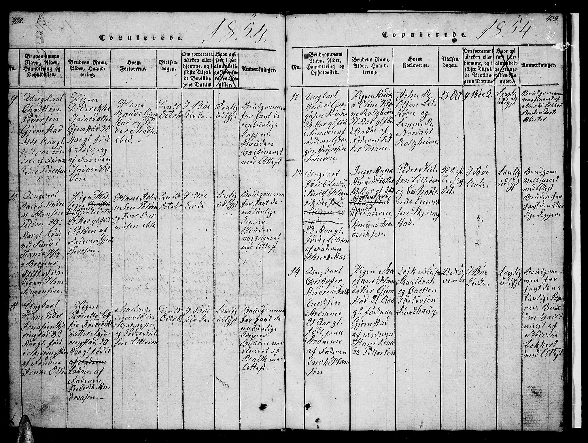 Ministerialprotokoller, klokkerbøker og fødselsregistre - Nordland, SAT/A-1459/891/L1312: Parish register (copy) no. 891C01, 1820-1856, p. 432-433
