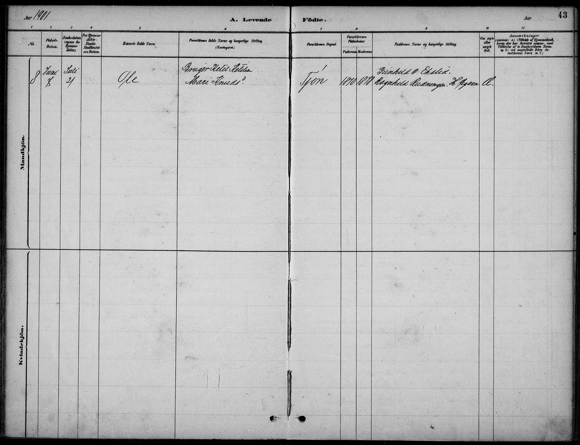 Hjartdal kirkebøker, SAKO/A-270/F/Fc/L0002: Parish register (official) no. III 2, 1880-1936, p. 43