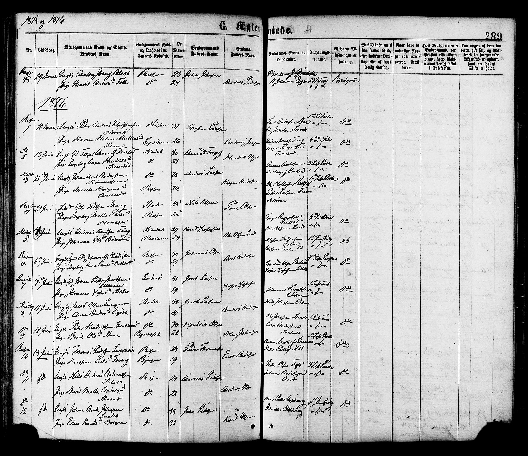 Ministerialprotokoller, klokkerbøker og fødselsregistre - Sør-Trøndelag, AV/SAT-A-1456/646/L0613: Parish register (official) no. 646A11, 1870-1884, p. 289