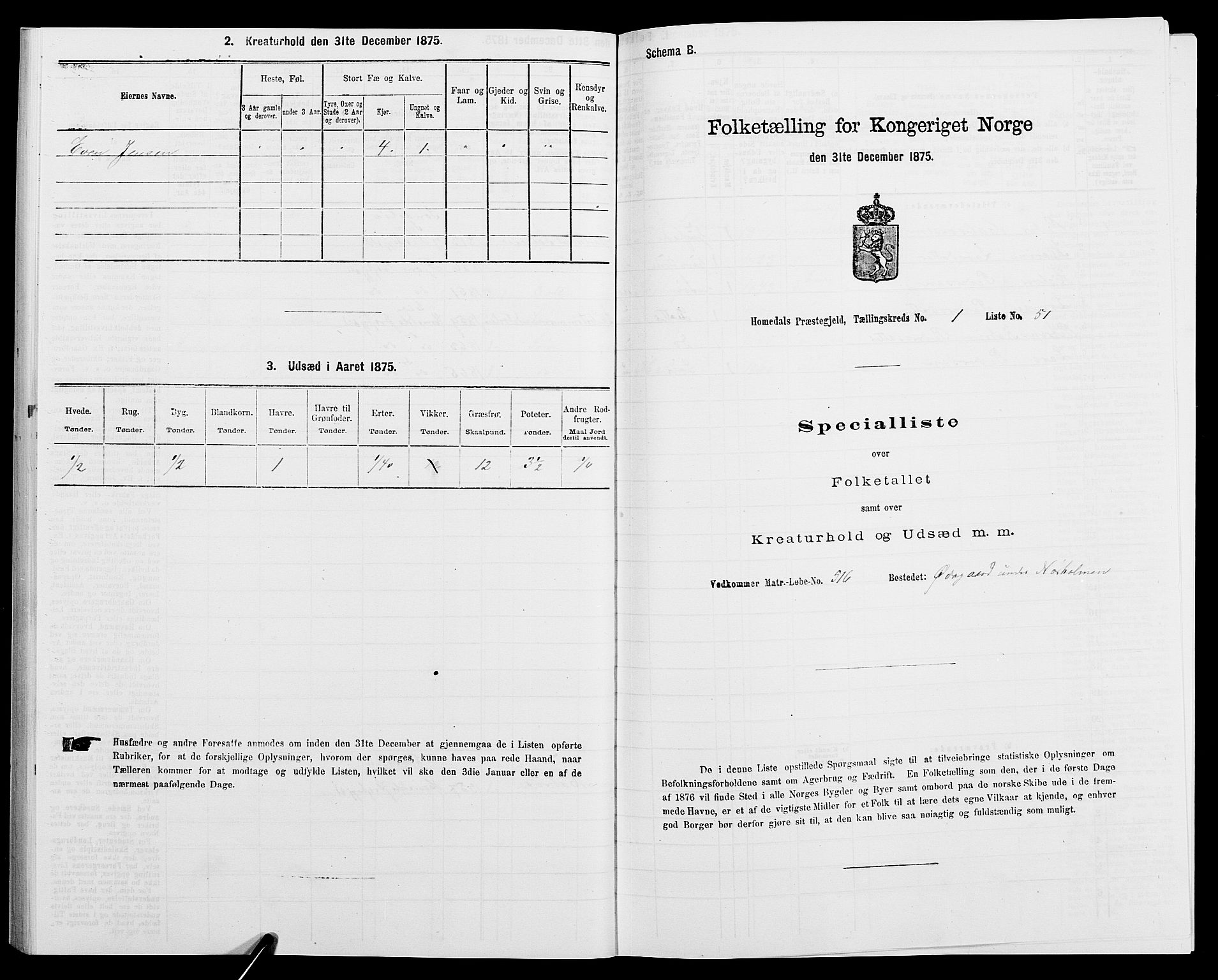 SAK, 1875 census for 0924P Homedal, 1875, p. 120