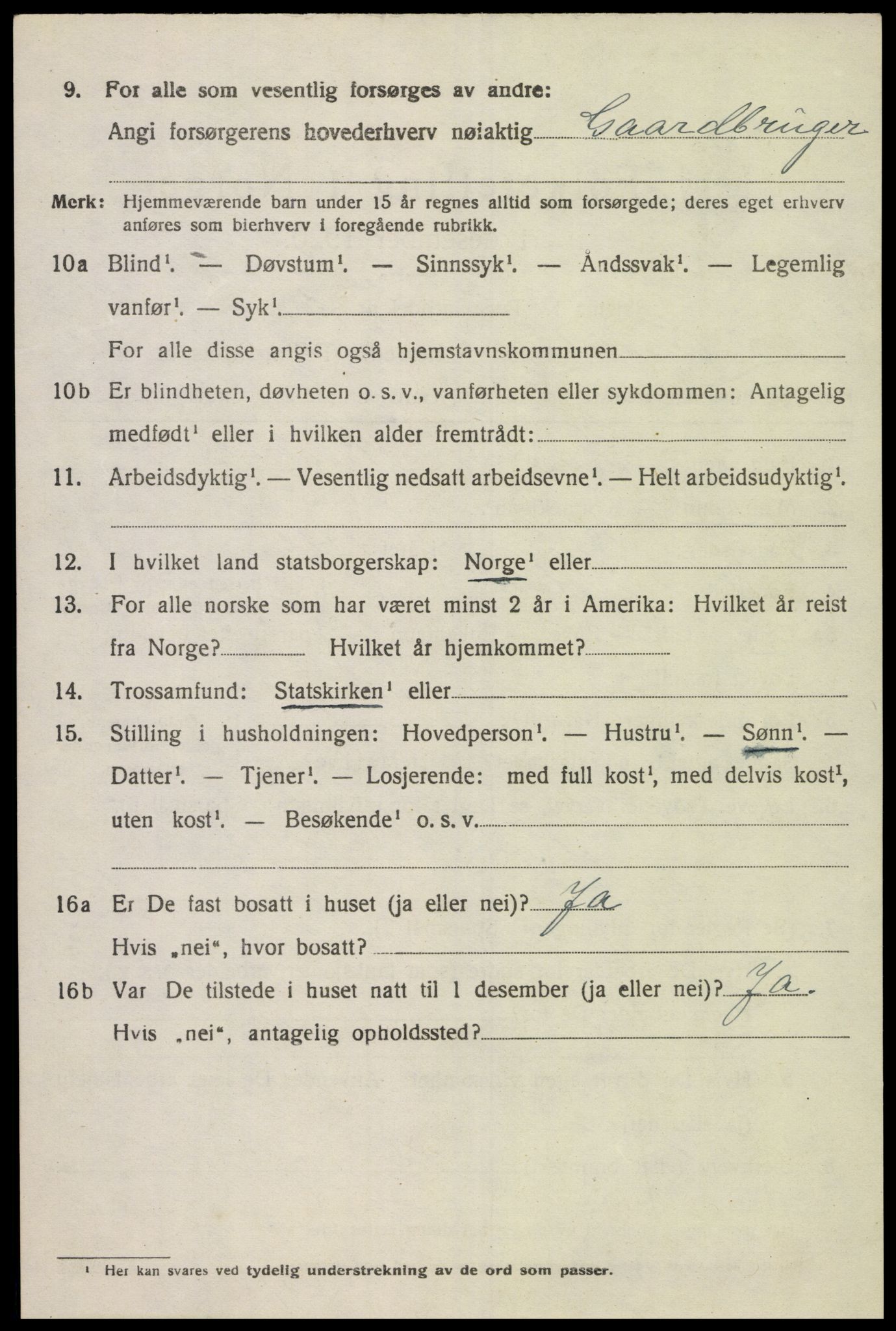 SAK, 1920 census for Øyslebø, 1920, p. 915