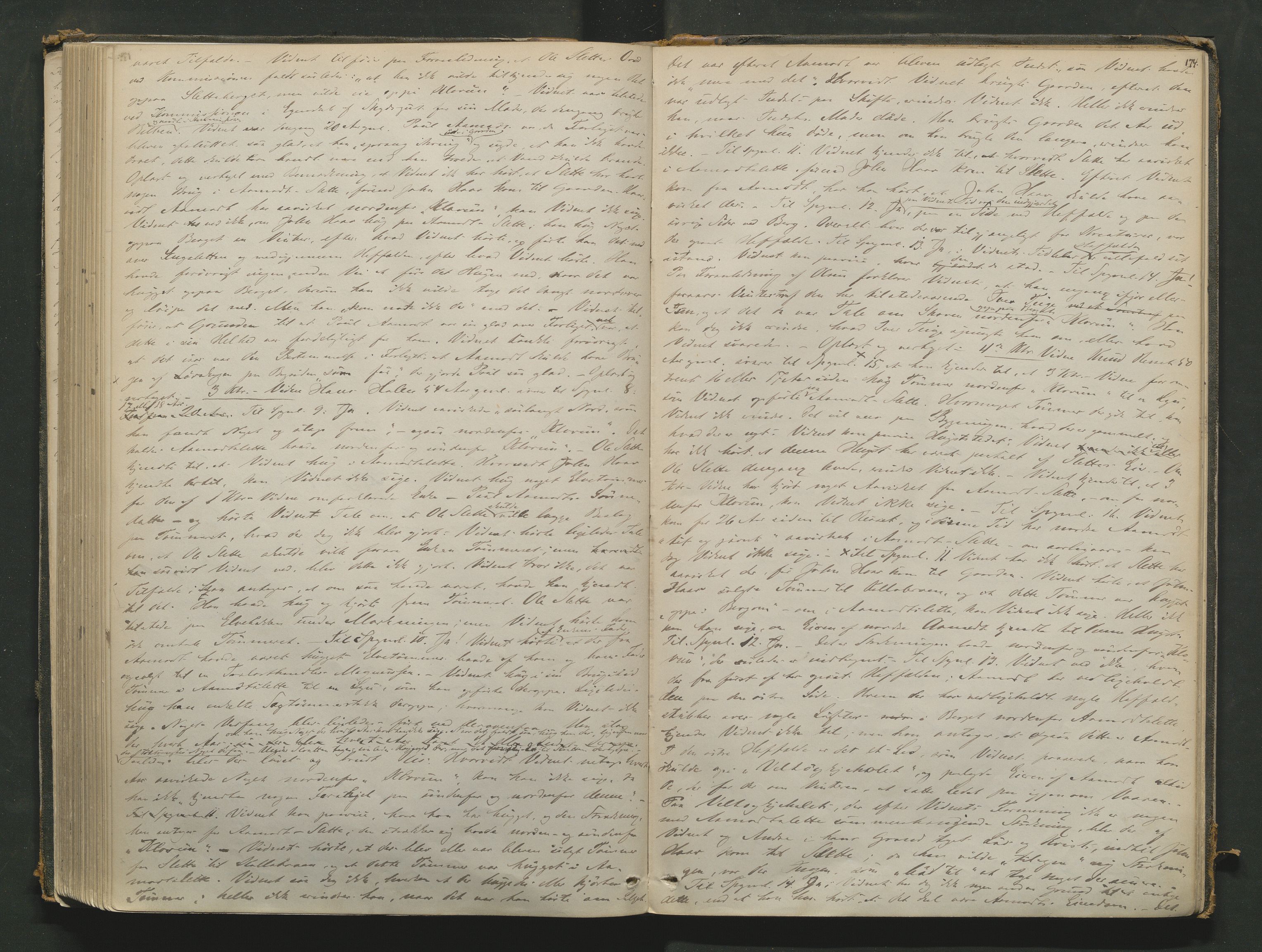 Nord-Gudbrandsdal tingrett, AV/SAH-TING-002/G/Gc/Gcb/L0003: Ekstrarettsprotokoll for åstedssaker, 1867-1876, p. 173b-174a