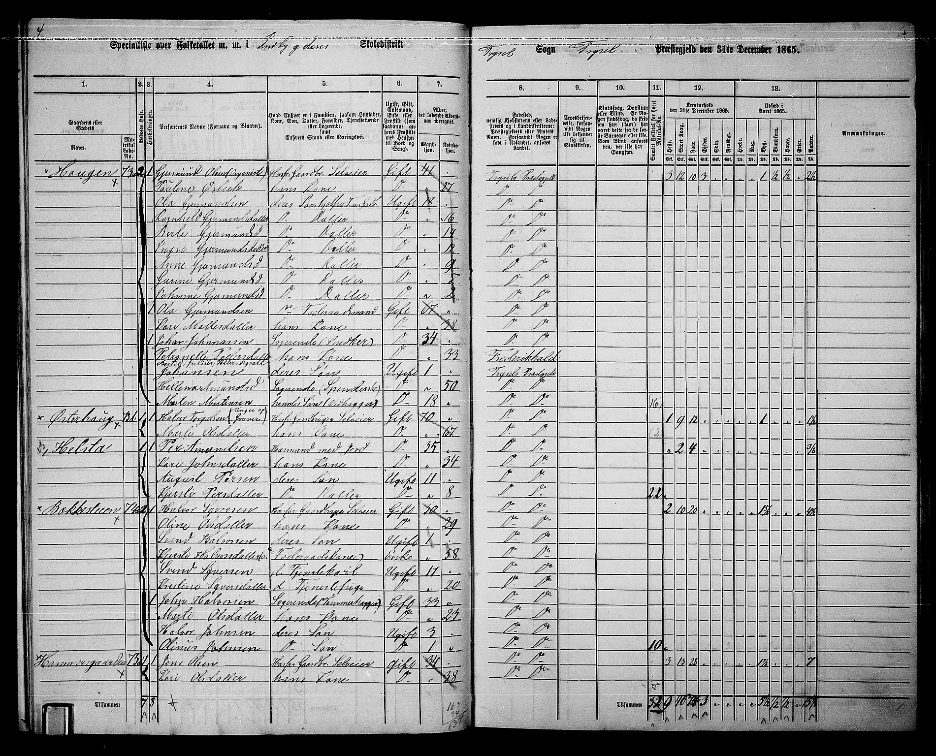 RA, 1865 census for Trysil, 1865, p. 21