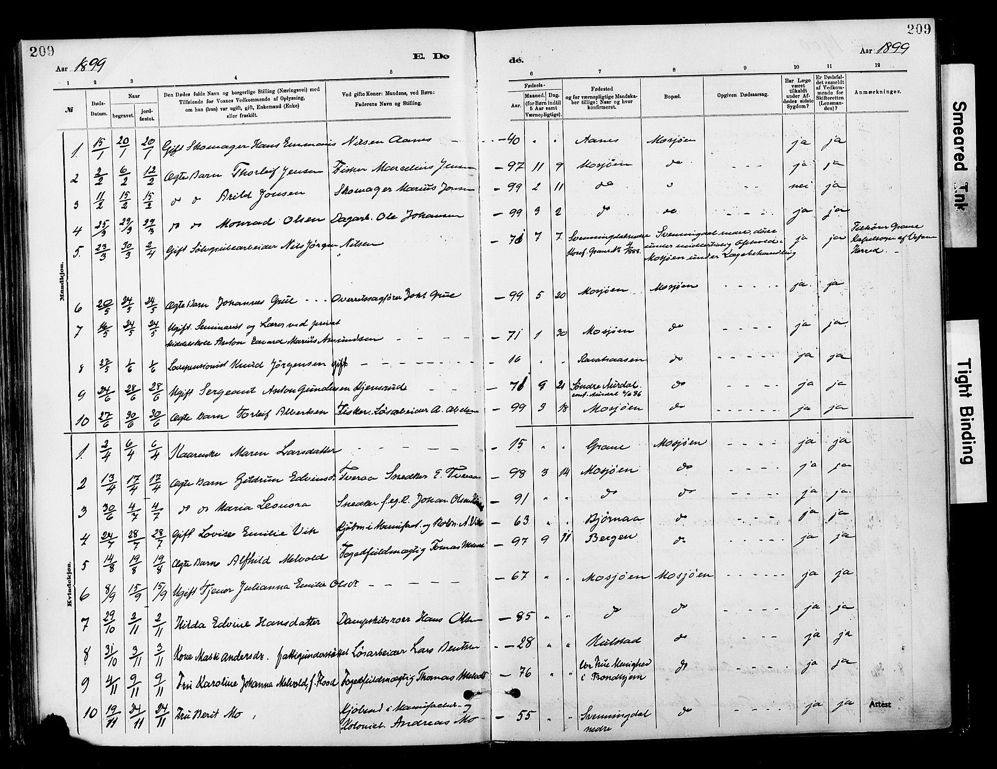 Ministerialprotokoller, klokkerbøker og fødselsregistre - Nordland, AV/SAT-A-1459/820/L0296: Parish register (official) no. 820A17, 1880-1903, p. 209