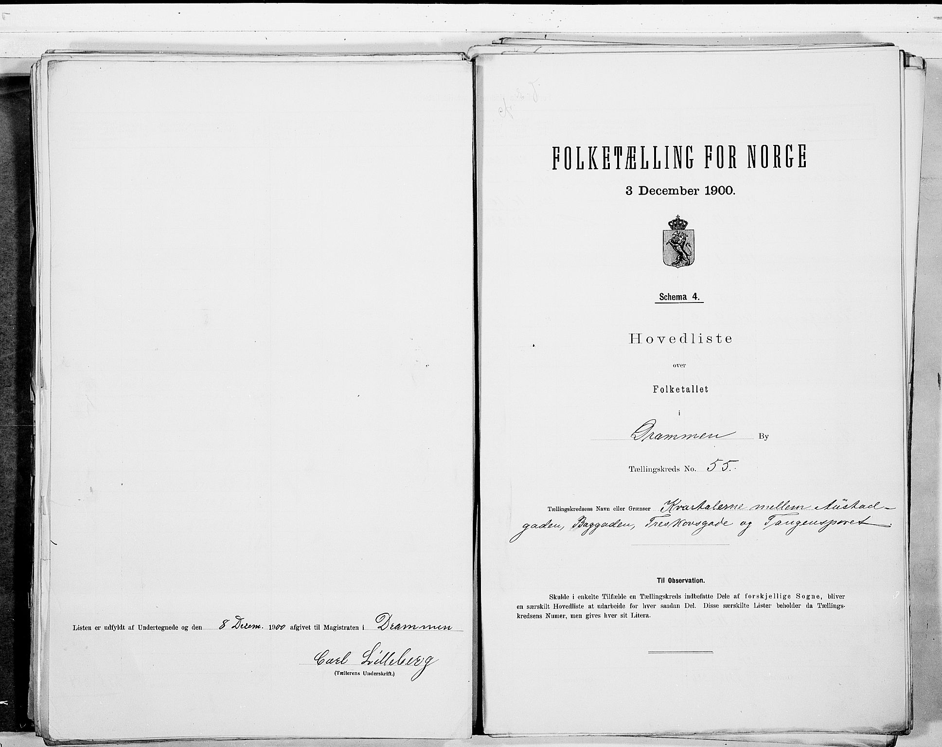 RA, 1900 census for Drammen, 1900, p. 115