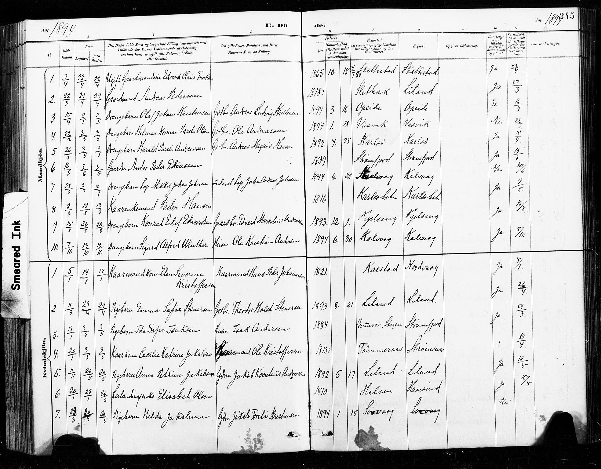 Ministerialprotokoller, klokkerbøker og fødselsregistre - Nordland, SAT/A-1459/859/L0847: Parish register (official) no. 859A07, 1890-1899, p. 245