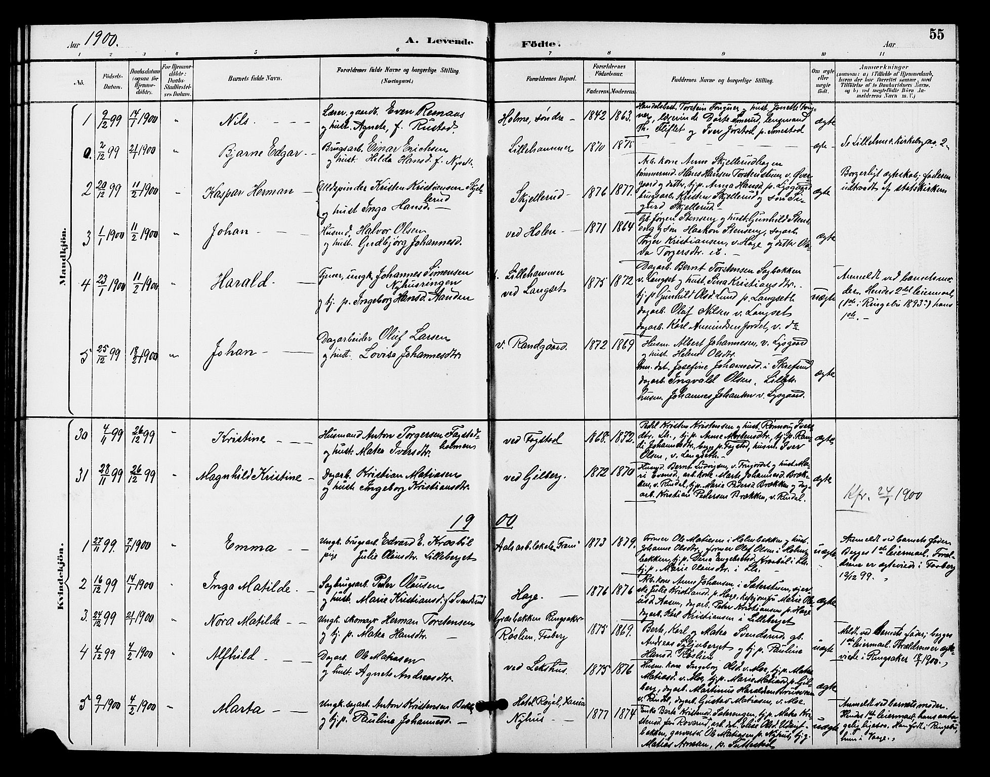 Fåberg prestekontor, AV/SAH-PREST-086/H/Ha/Hab/L0009: Parish register (copy) no. 9, 1891-1902, p. 55