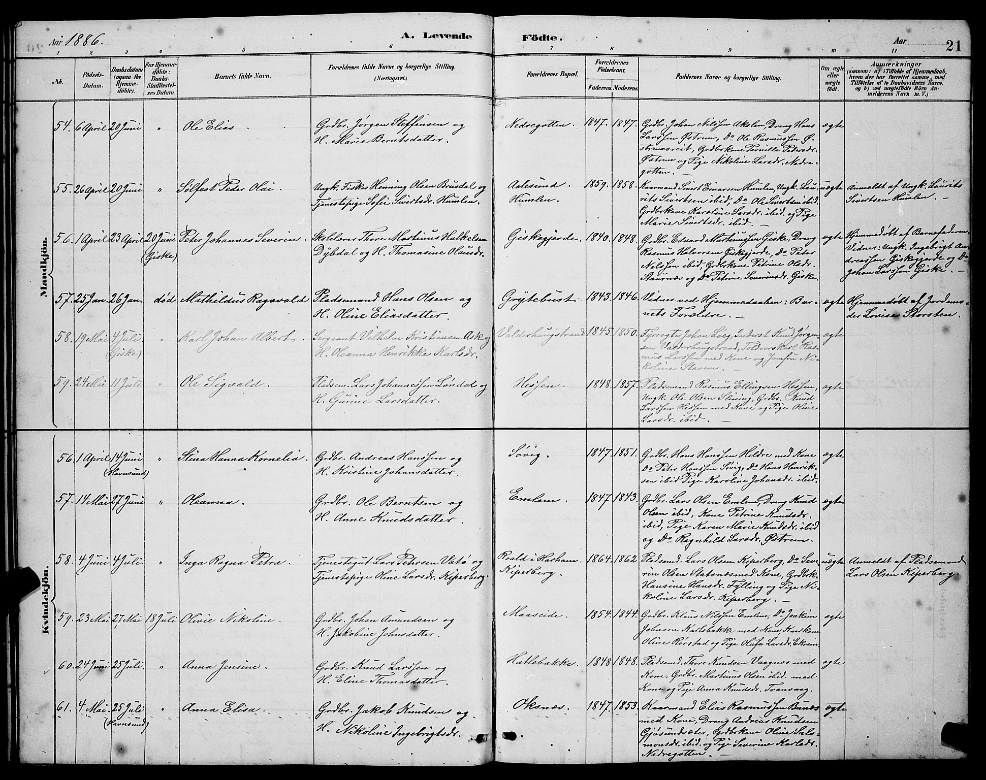 Ministerialprotokoller, klokkerbøker og fødselsregistre - Møre og Romsdal, AV/SAT-A-1454/528/L0431: Parish register (copy) no. 528C12, 1885-1898, p. 21