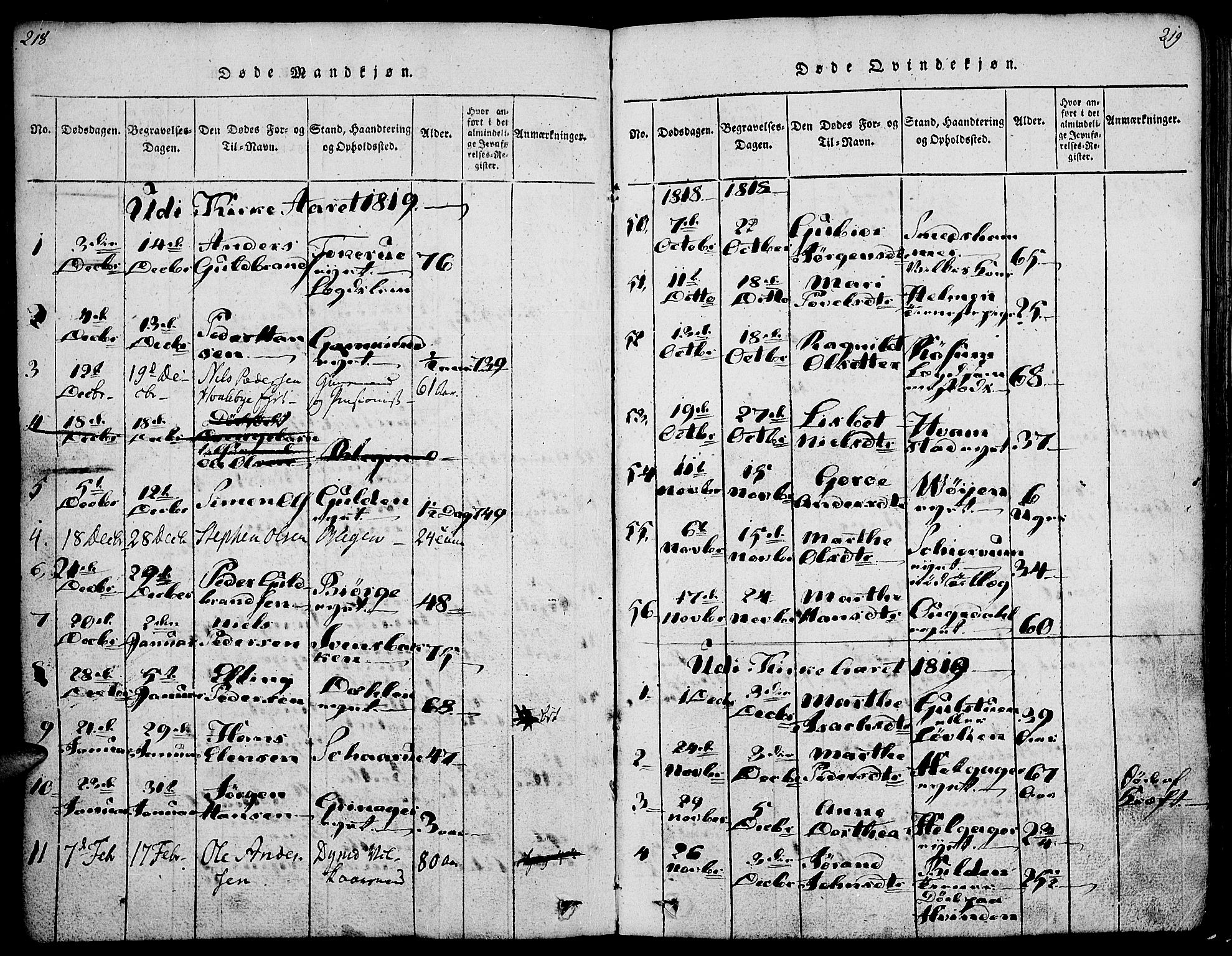 Gran prestekontor, SAH/PREST-112/H/Ha/Haa/L0009: Parish register (official) no. 9, 1815-1824, p. 218-219
