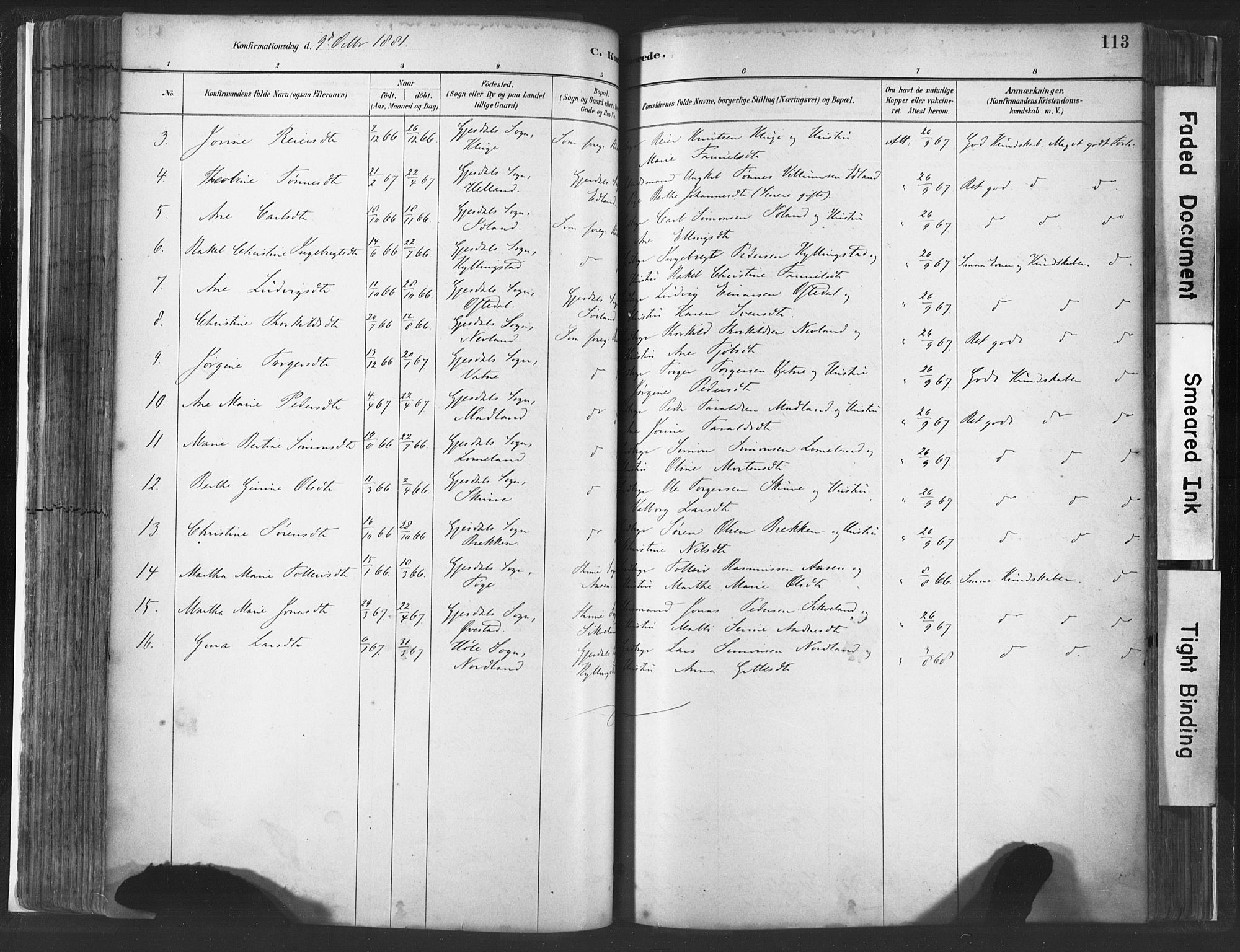 Lye sokneprestkontor, AV/SAST-A-101794/001/30BA/L0010: Parish register (official) no. A 10, 1881-1896, p. 113