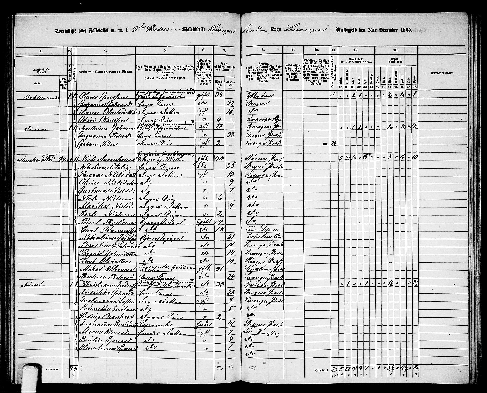 RA, 1865 census for Levanger/Levanger, 1865, p. 63