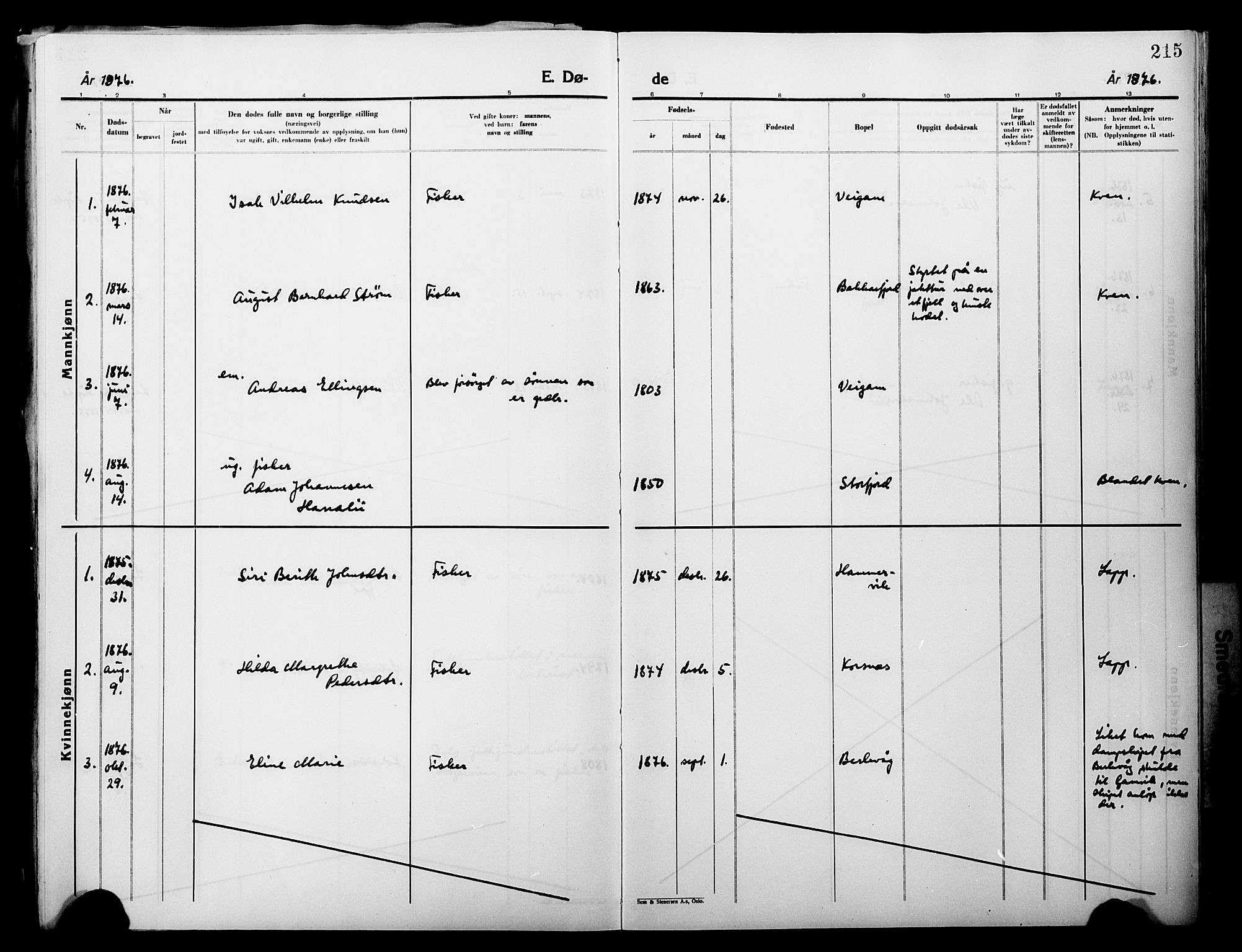 Lebesby sokneprestkontor, SATØ/S-1353/H/Ha/L0004kirke: Parish register (official) no. 4, 1870-1902, p. 215