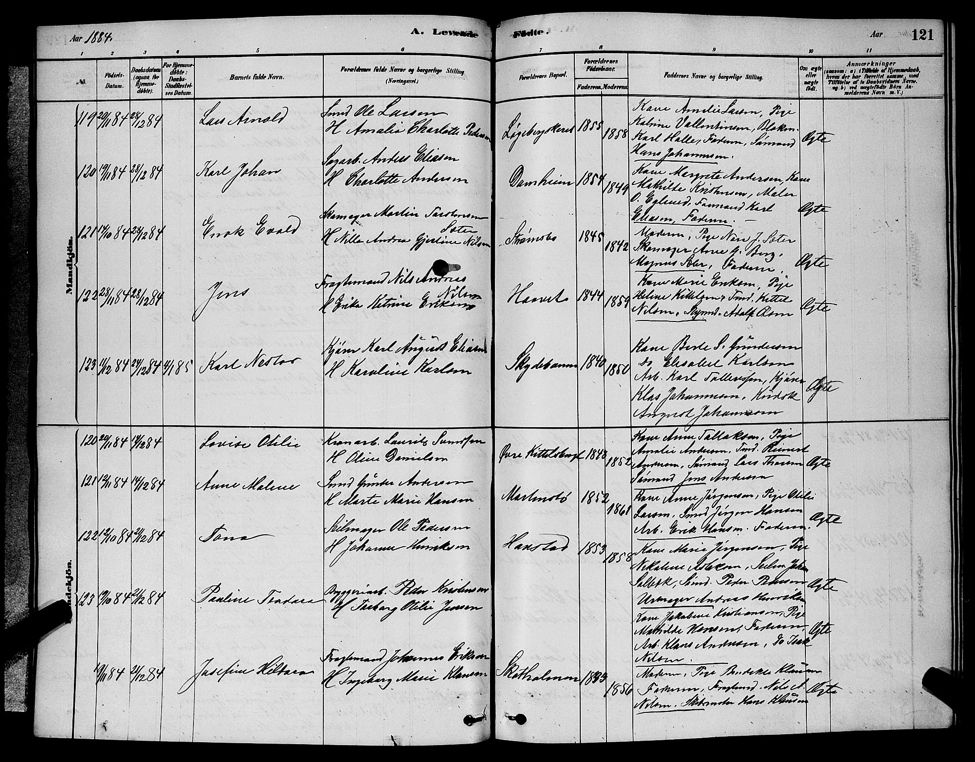 Barbu sokneprestkontor, AV/SAK-1111-0003/F/Fb/L0001: Parish register (copy) no. B 1, 1878-1890, p. 121