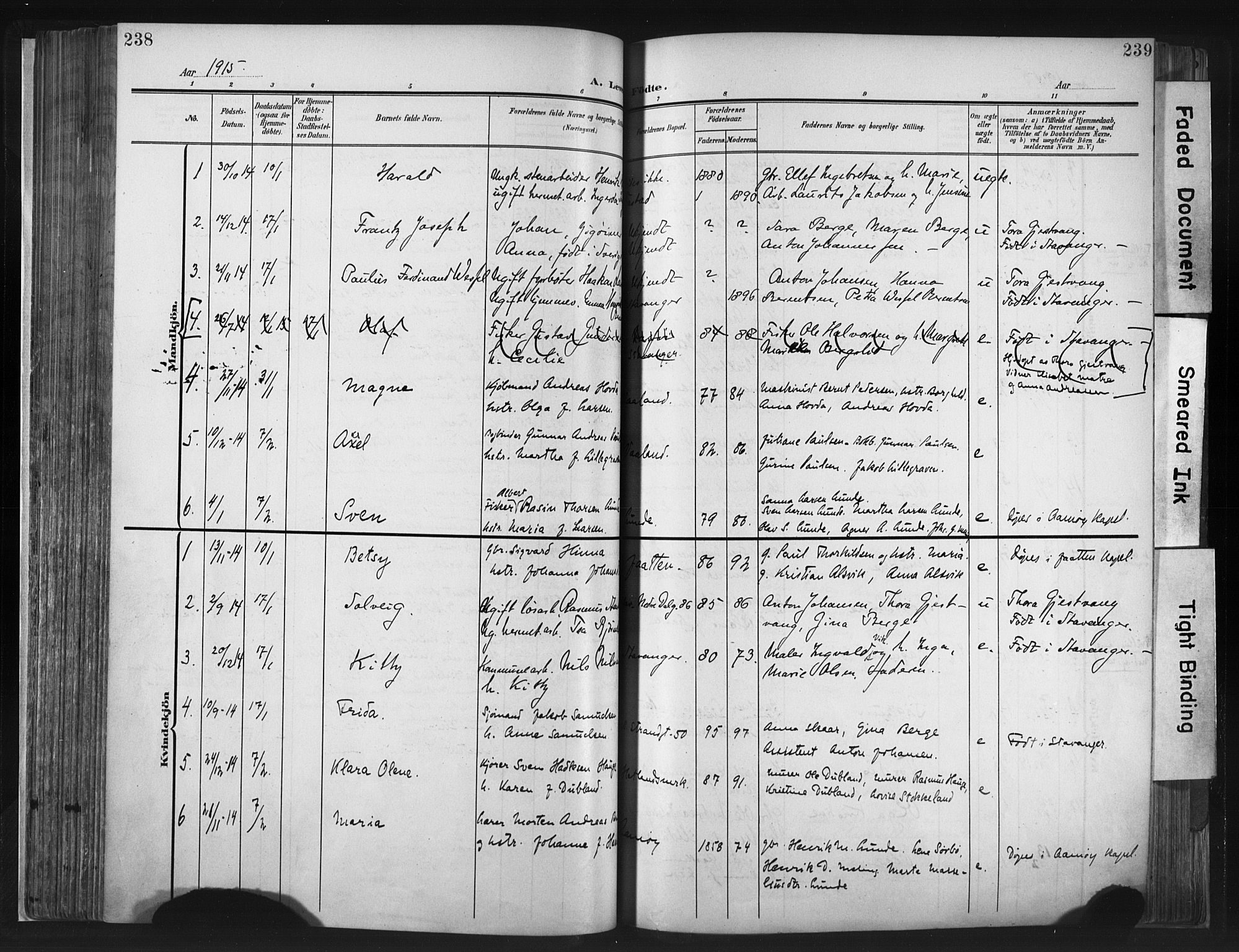 Hetland sokneprestkontor, SAST/A-101826/30/30BA/L0013: Parish register (official) no. A 13, 1904-1918, p. 238-239