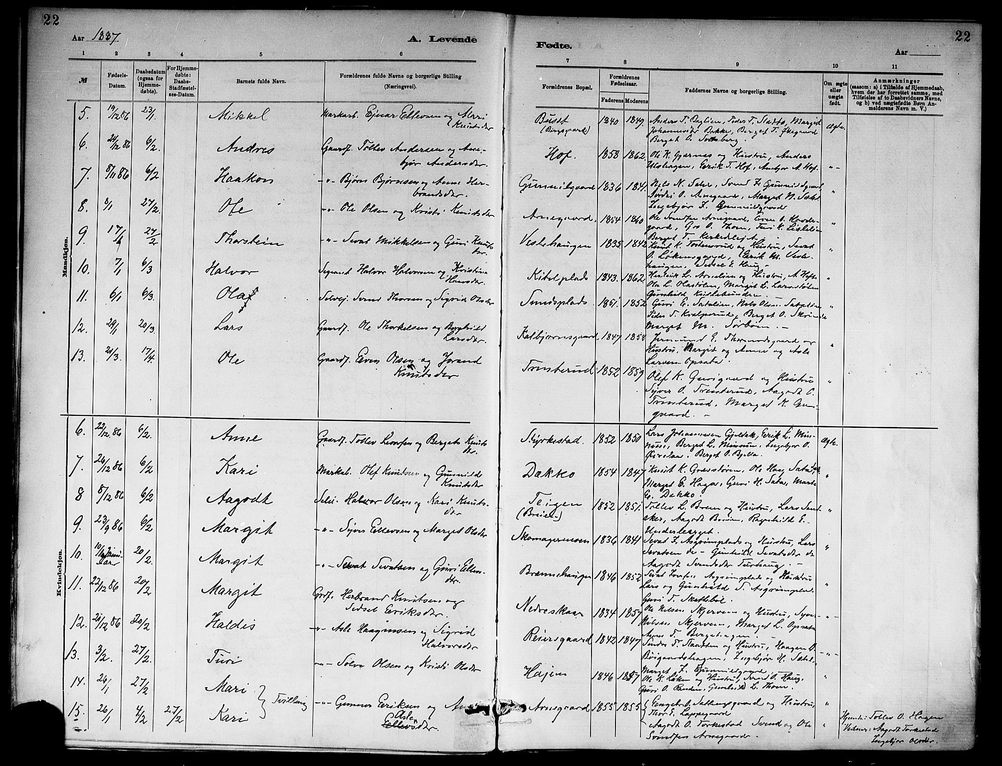 Ål kirkebøker, AV/SAKO-A-249/F/Fa/L0008: Parish register (official) no. I 8, 1882-1896, p. 22