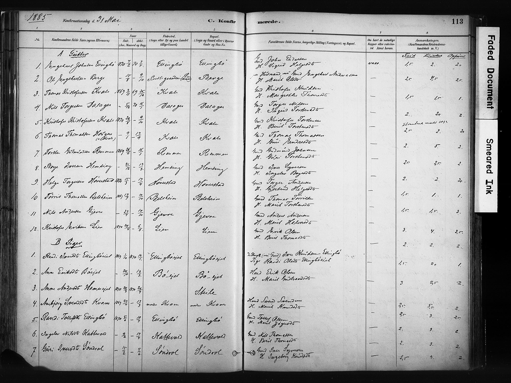Vang prestekontor, Valdres, SAH/PREST-140/H/Ha/L0008: Parish register (official) no. 8, 1882-1910, p. 113