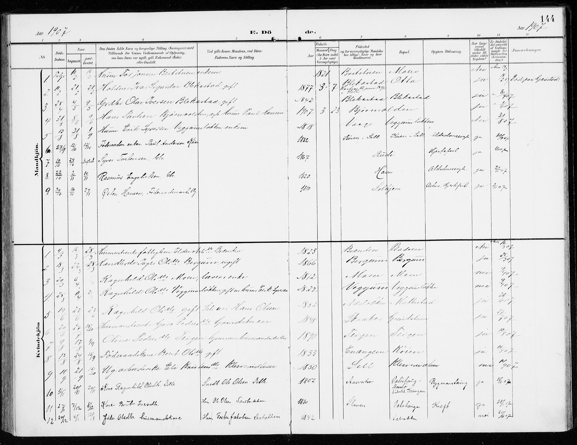 Sel prestekontor, SAH/PREST-074/H/Ha/Haa/L0002: Parish register (official) no. 2, 1905-1919, p. 144
