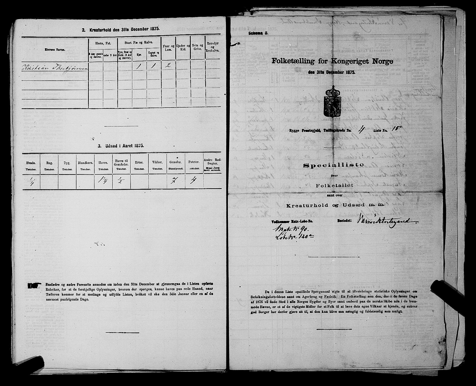 RA, 1875 census for 0136P Rygge, 1875, p. 802