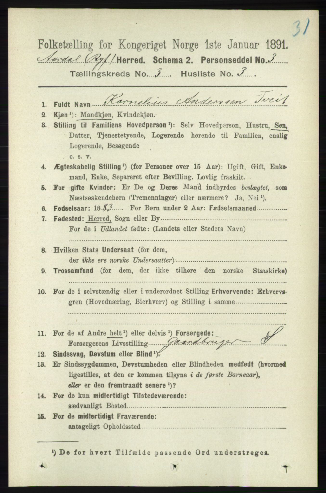 RA, 1891 census for 1131 Årdal, 1891, p. 839