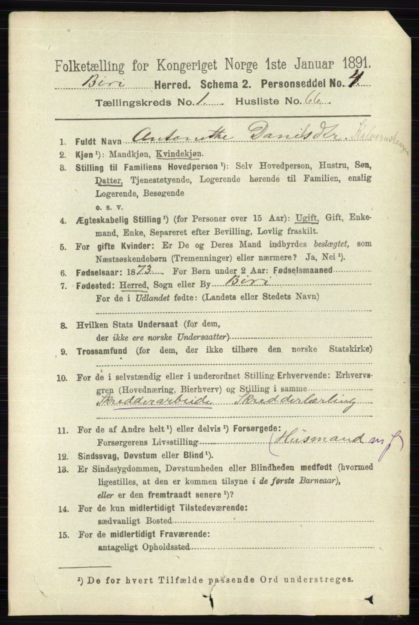 RA, 1891 census for 0525 Biri, 1891, p. 455