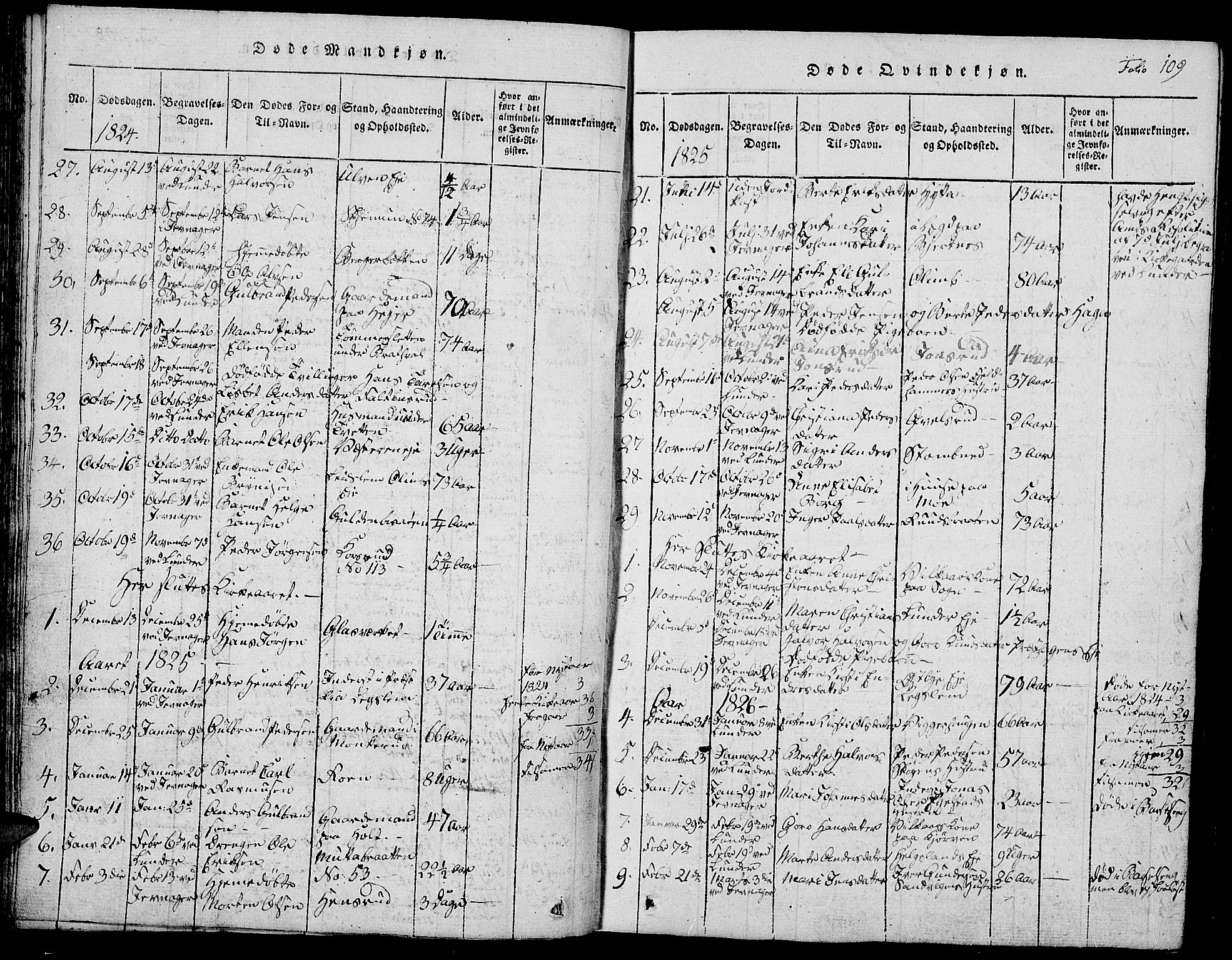 Jevnaker prestekontor, SAH/PREST-116/H/Ha/Hab/L0001: Parish register (copy) no. 1, 1815-1837, p. 109
