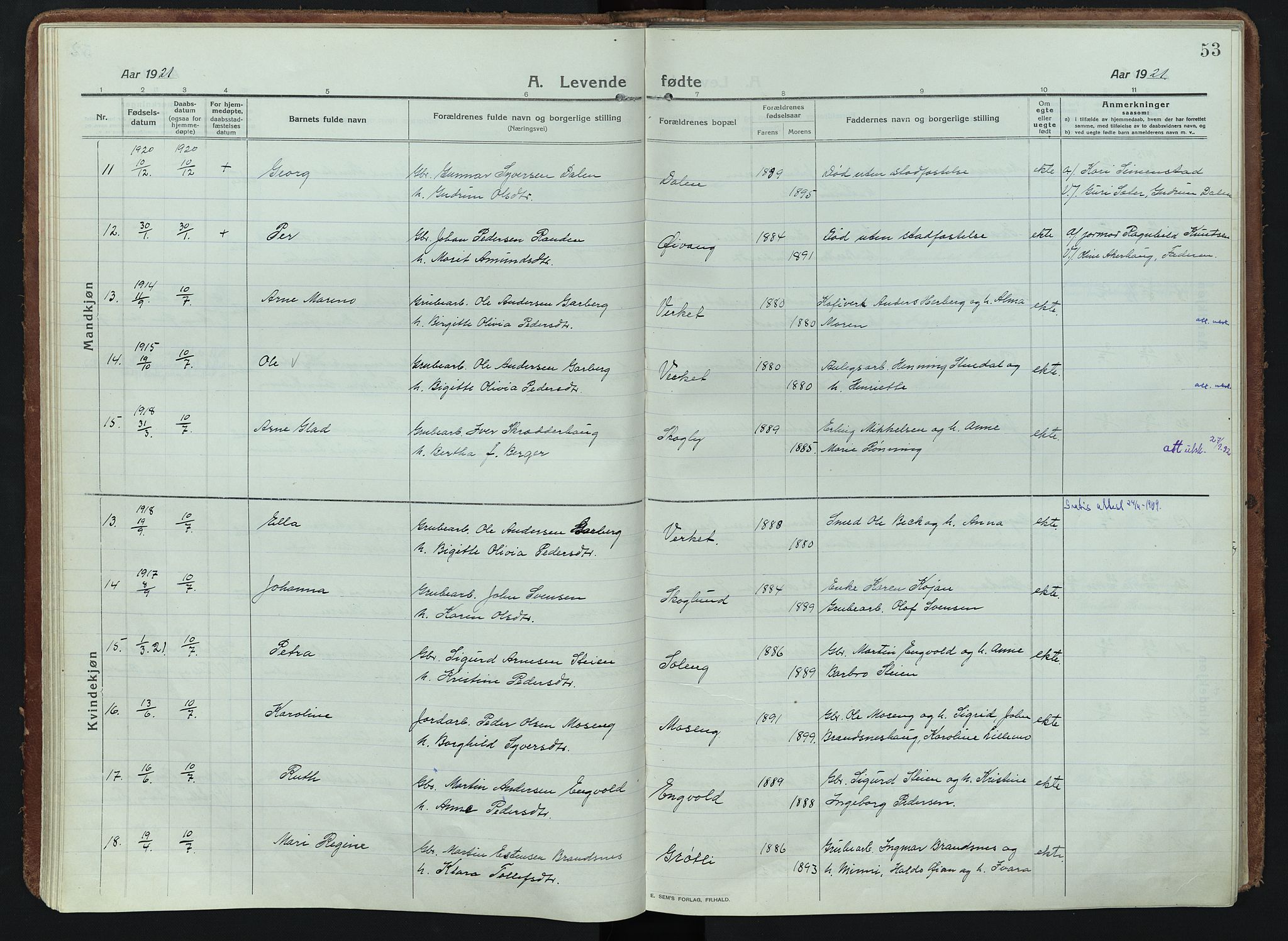 Alvdal prestekontor, AV/SAH-PREST-060/H/Ha/Haa/L0005: Parish register (official) no. 5, 1913-1930, p. 53