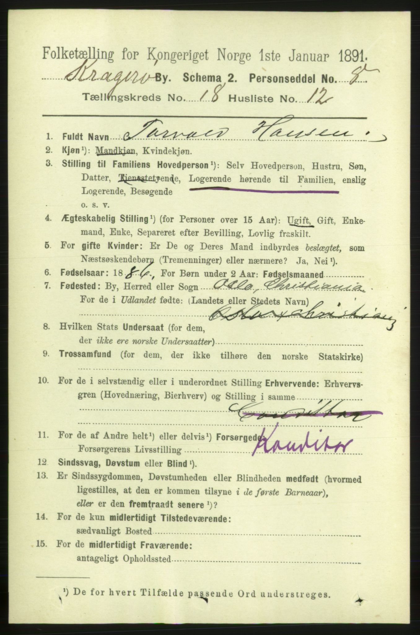 RA, 1891 census for 0801 Kragerø, 1891, p. 4517