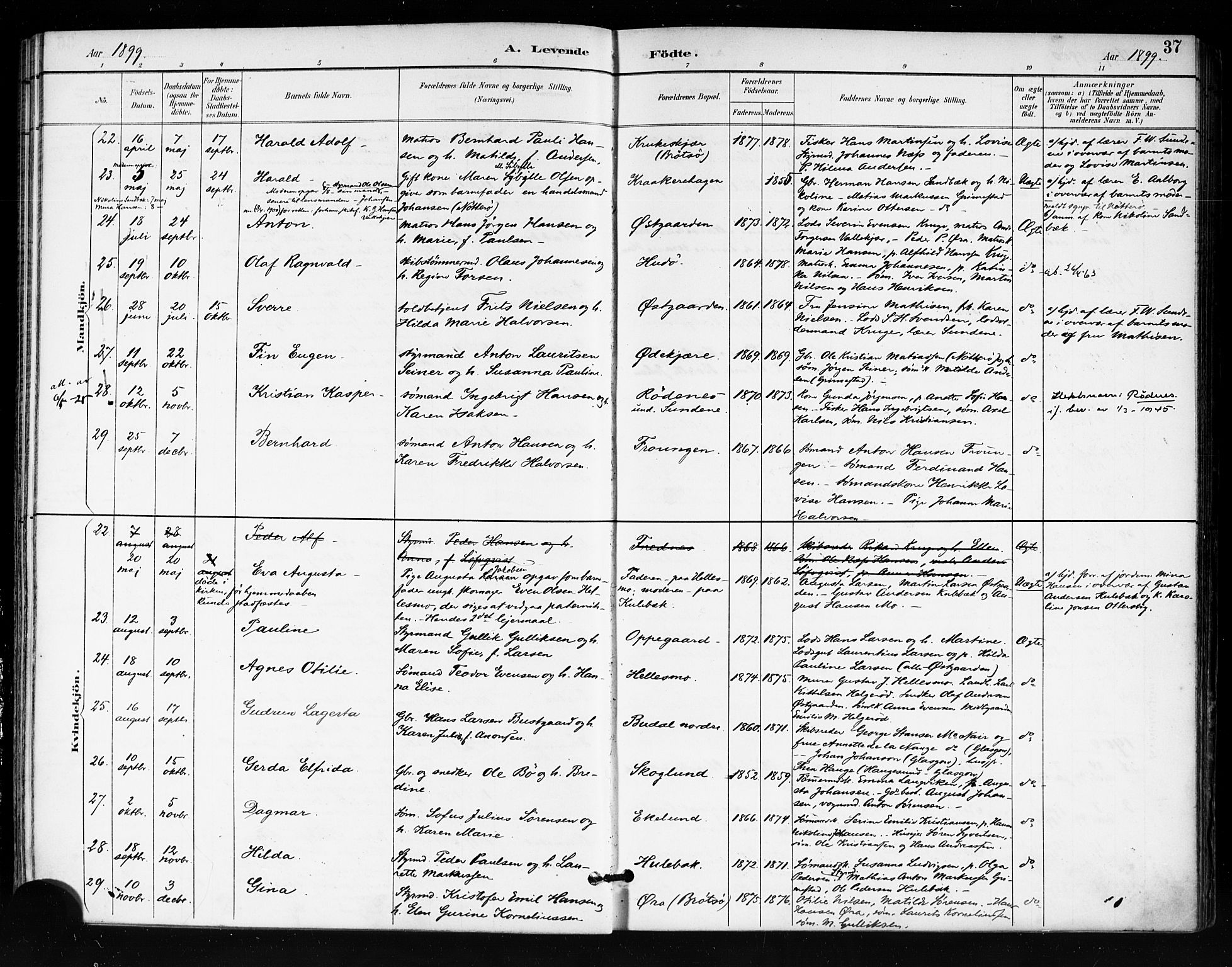 Tjøme kirkebøker, AV/SAKO-A-328/F/Fa/L0003: Parish register (official) no. I 3, 1891-1900, p. 37