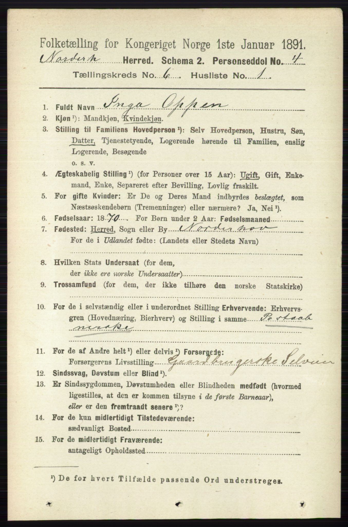 RA, 1891 census for 0613 Norderhov, 1891, p. 4001