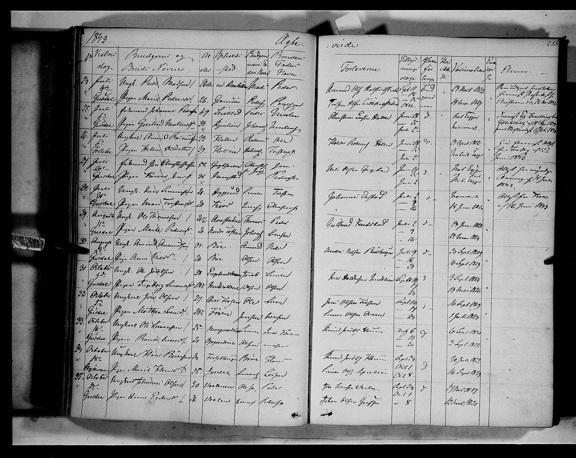 Gausdal prestekontor, SAH/PREST-090/H/Ha/Haa/L0007: Parish register (official) no. 7, 1840-1850, p. 215