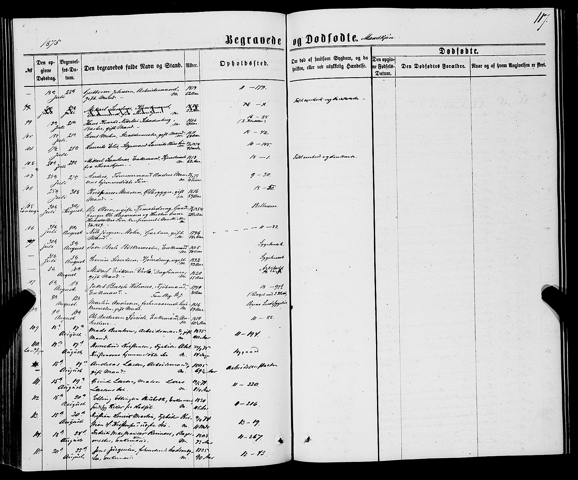 Domkirken sokneprestembete, AV/SAB-A-74801/H/Haa/L0042: Parish register (official) no. E 3, 1863-1876, p. 117