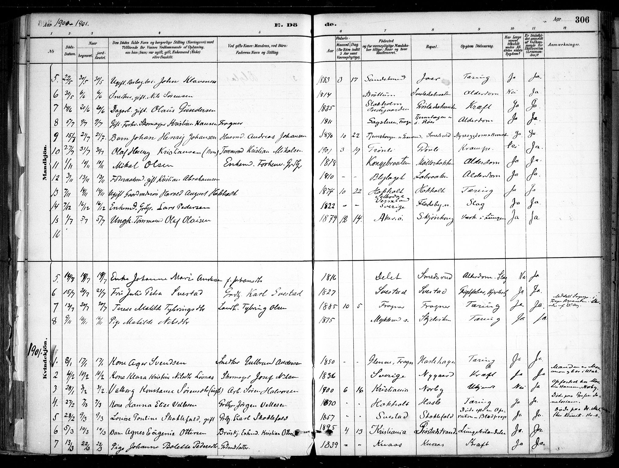 Nesodden prestekontor Kirkebøker, SAO/A-10013/F/Fa/L0009: Parish register (official) no. I 9, 1880-1915, p. 306