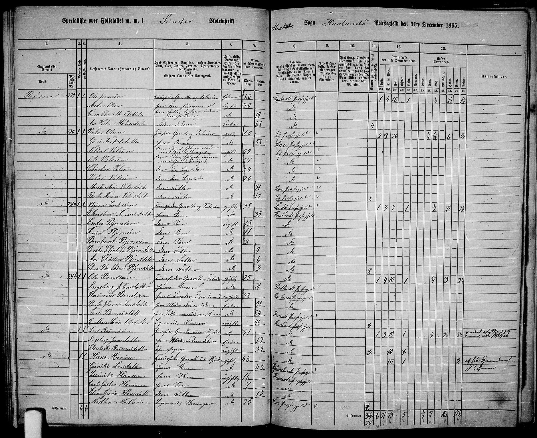 RA, 1865 census for Håland, 1865, p. 109