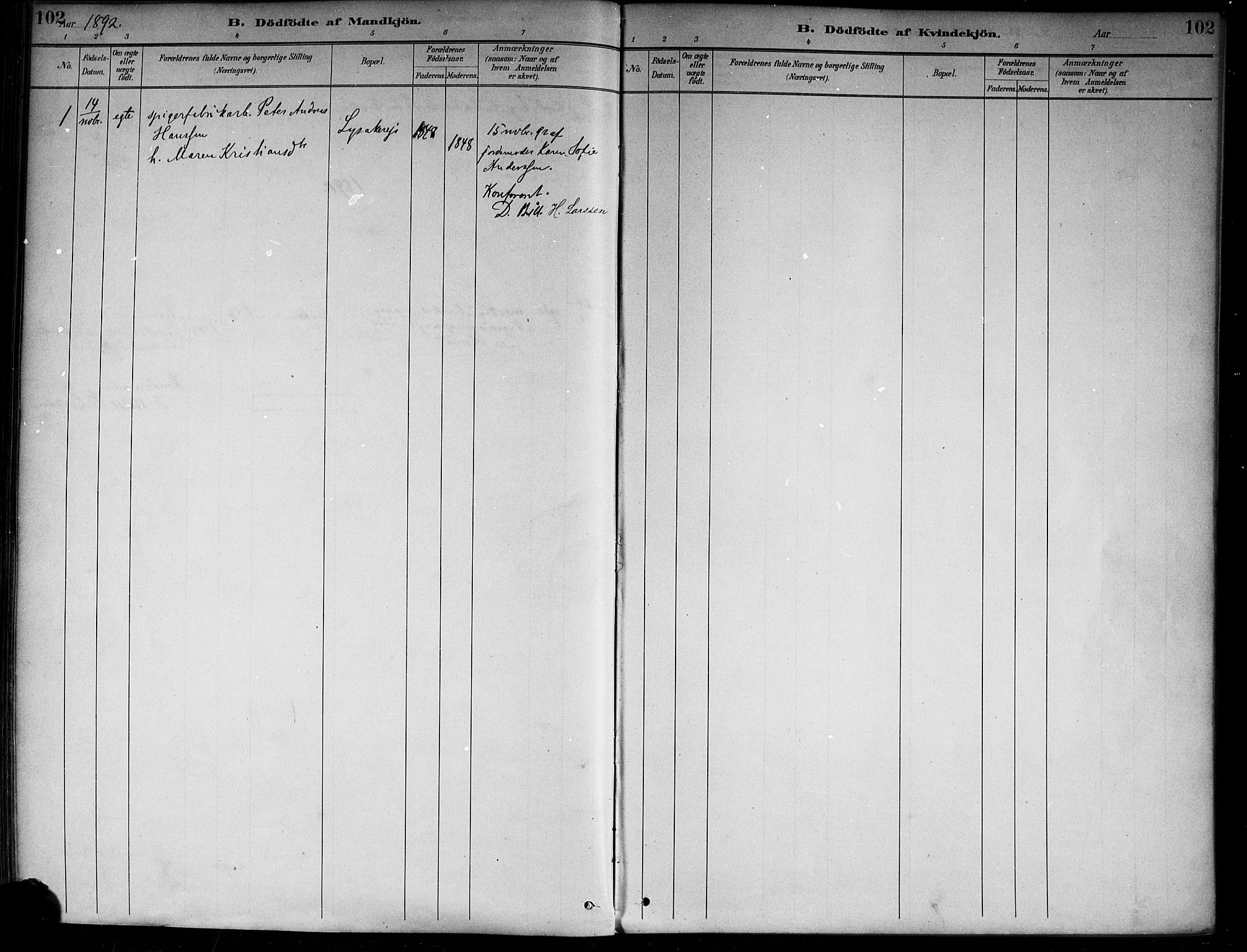 Nedre Eiker kirkebøker, AV/SAKO-A-612/F/Fa/L0003: Parish register (official) no. 3, 1885-1892, p. 102