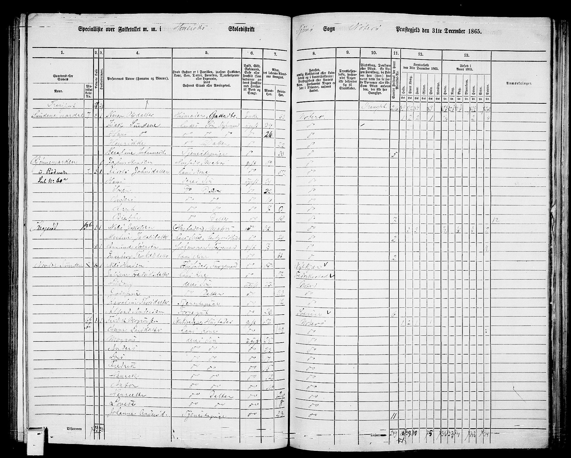 RA, 1865 census for Nøtterøy, 1865, p. 211