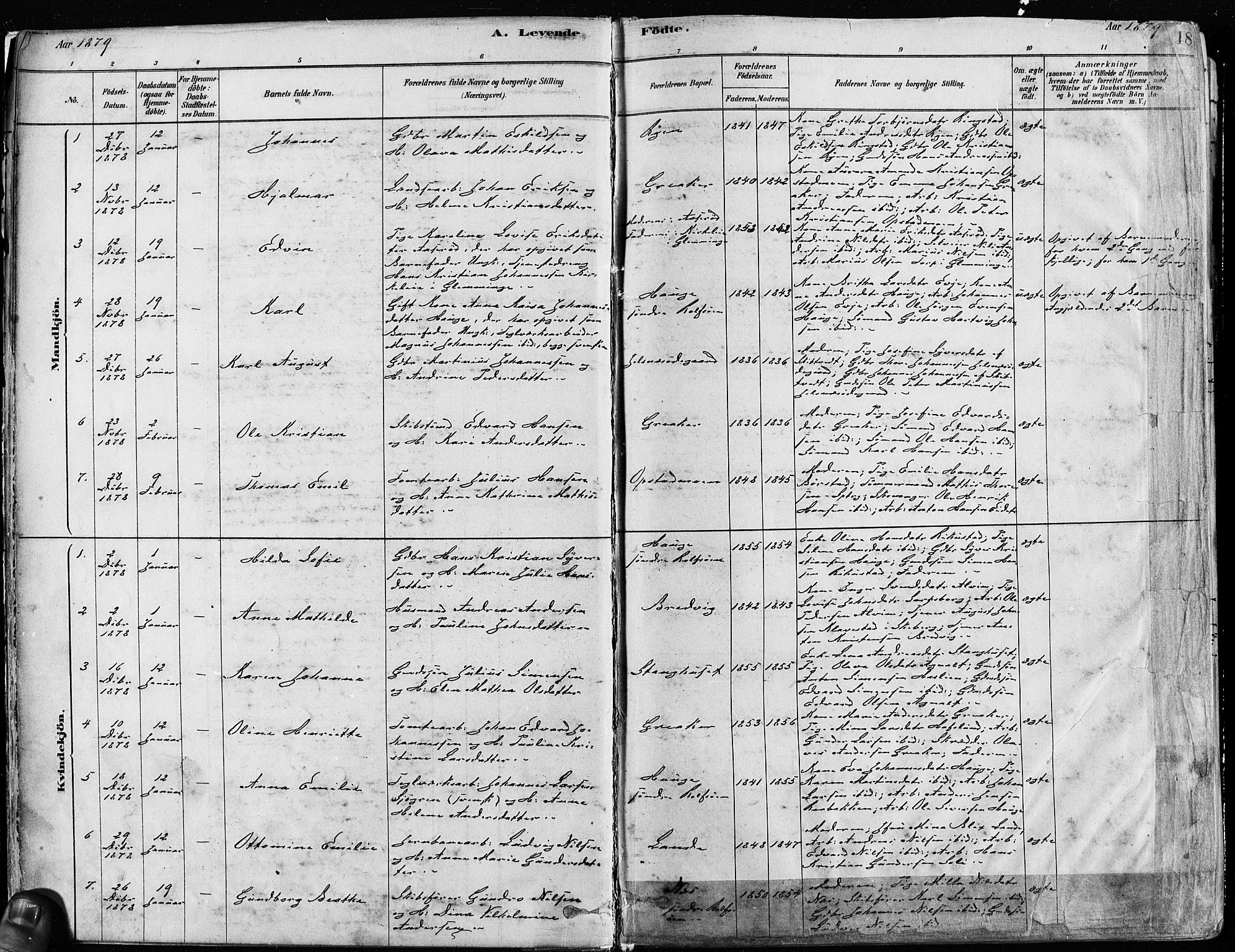 Tune prestekontor Kirkebøker, AV/SAO-A-2007/F/Fa/L0017: Parish register (official) no. 17, 1878-1887, p. 18