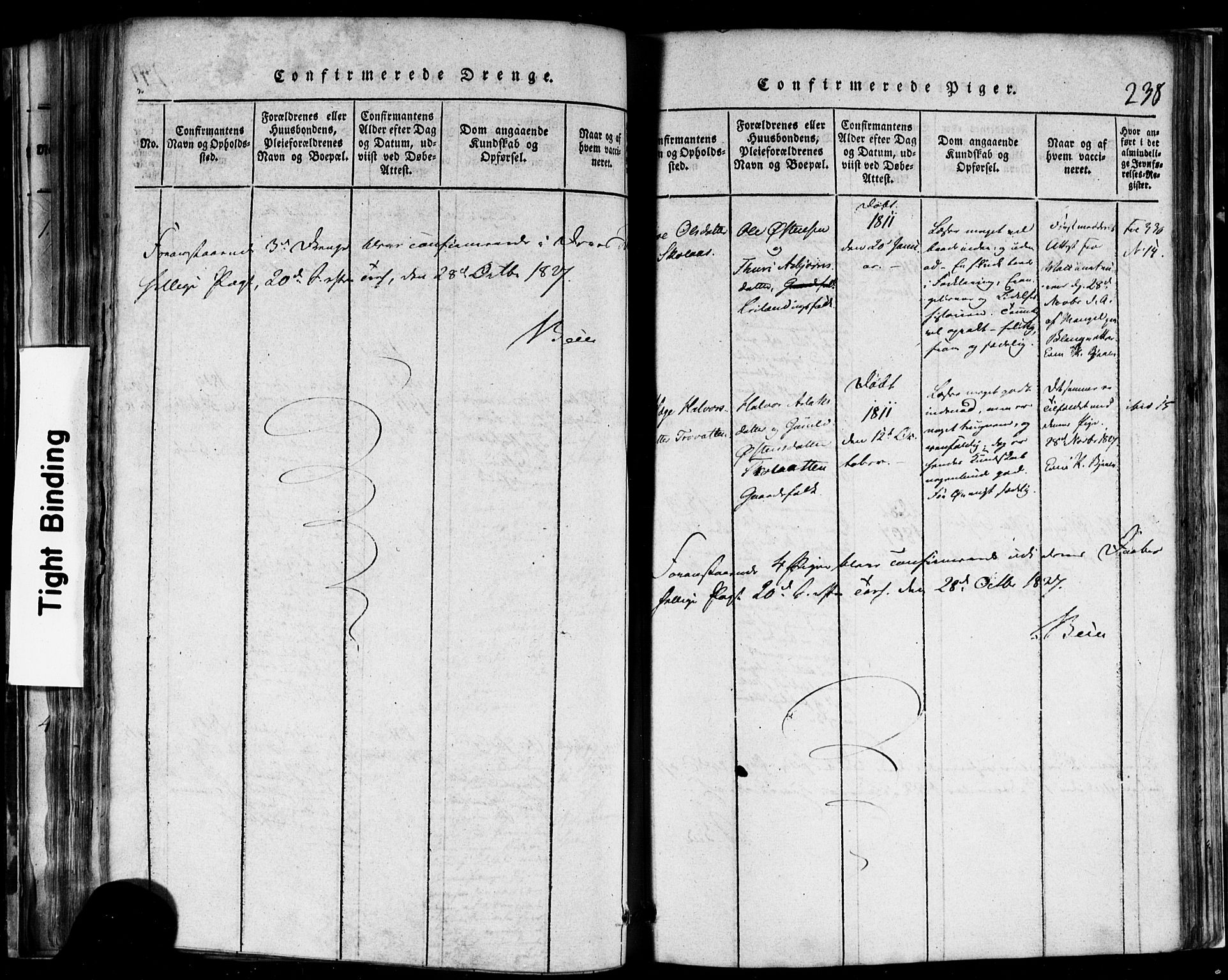 Rauland kirkebøker, AV/SAKO-A-292/F/Fa/L0002: Parish register (official) no. I 2, 1815-1860, p. 238