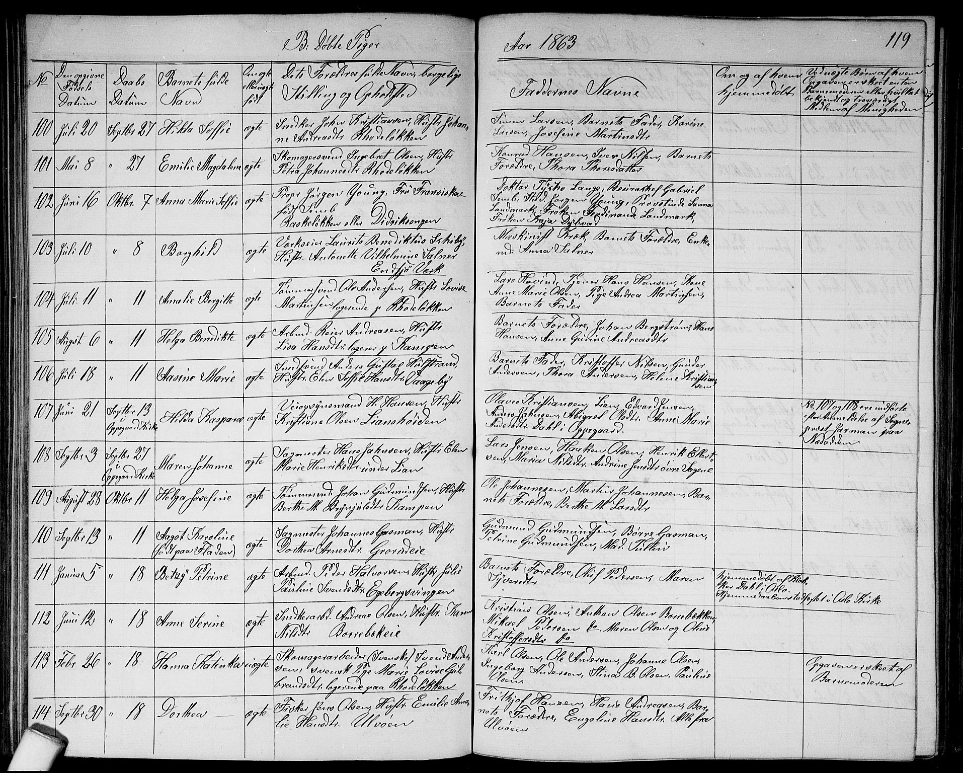 Østre Aker prestekontor Kirkebøker, SAO/A-10840/G/Ga/L0002: Parish register (copy) no. I 2, 1861-1867, p. 119