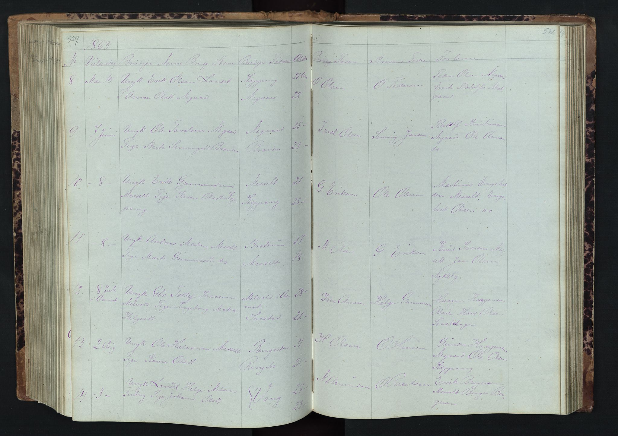 Stor-Elvdal prestekontor, SAH/PREST-052/H/Ha/Hab/L0001: Parish register (copy) no. 1 /1, 1860-1894, p. 529-530