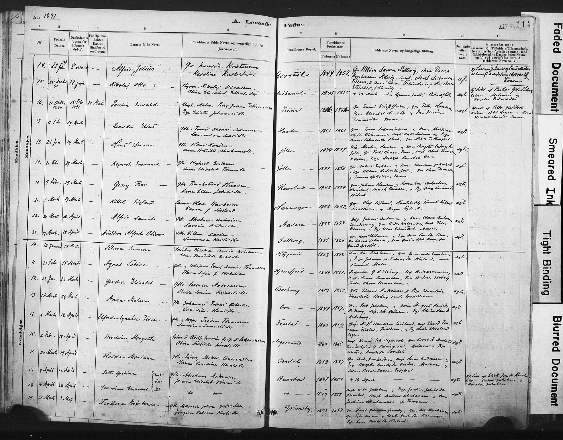 Lista sokneprestkontor, AV/SAK-1111-0027/F/Fa/L0012: Parish register (official) no. A 12, 1879-1903, p. 114