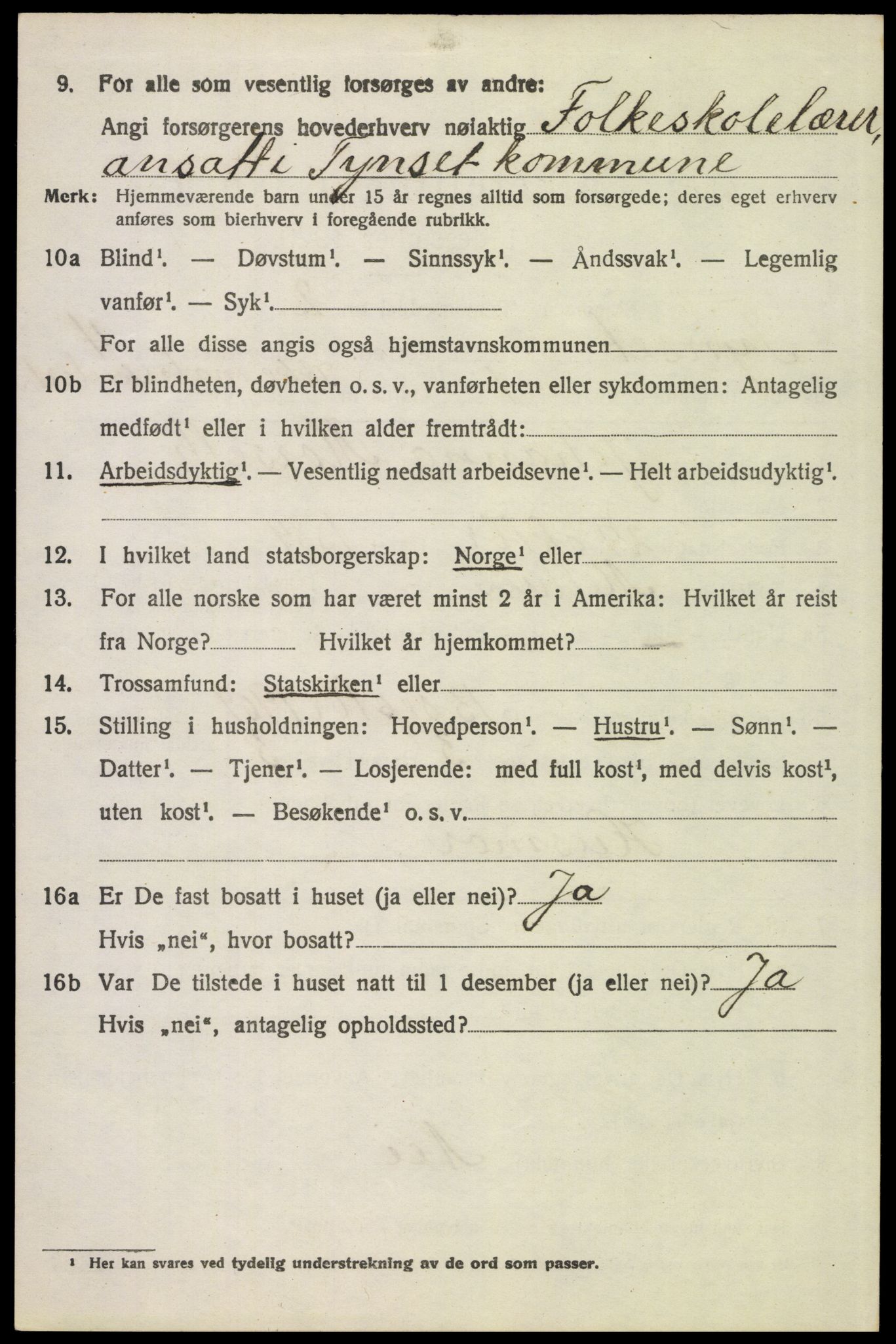 SAH, 1920 census for Tynset, 1920, p. 3179