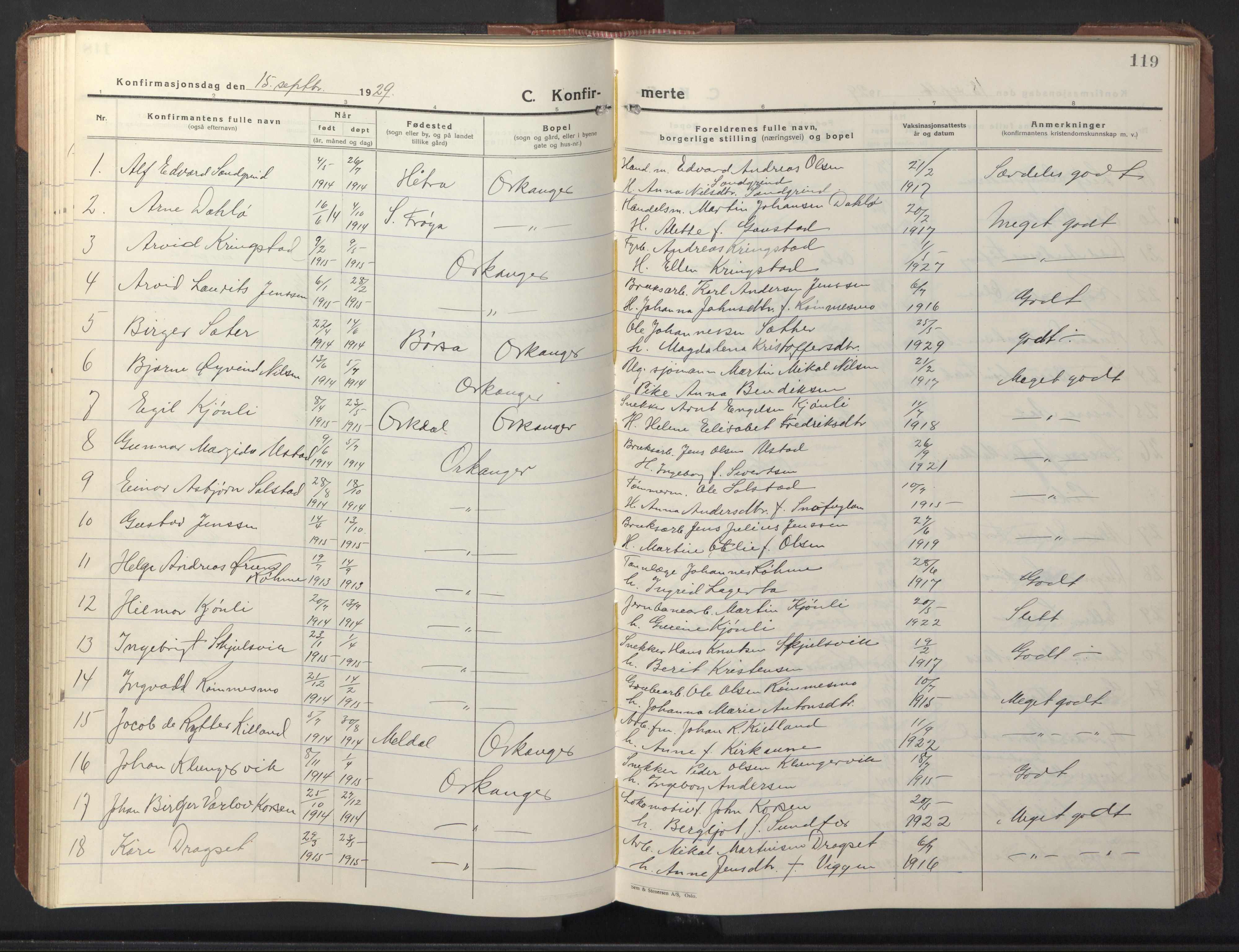 Ministerialprotokoller, klokkerbøker og fødselsregistre - Sør-Trøndelag, SAT/A-1456/669/L0832: Parish register (copy) no. 669C02, 1925-1953, p. 119