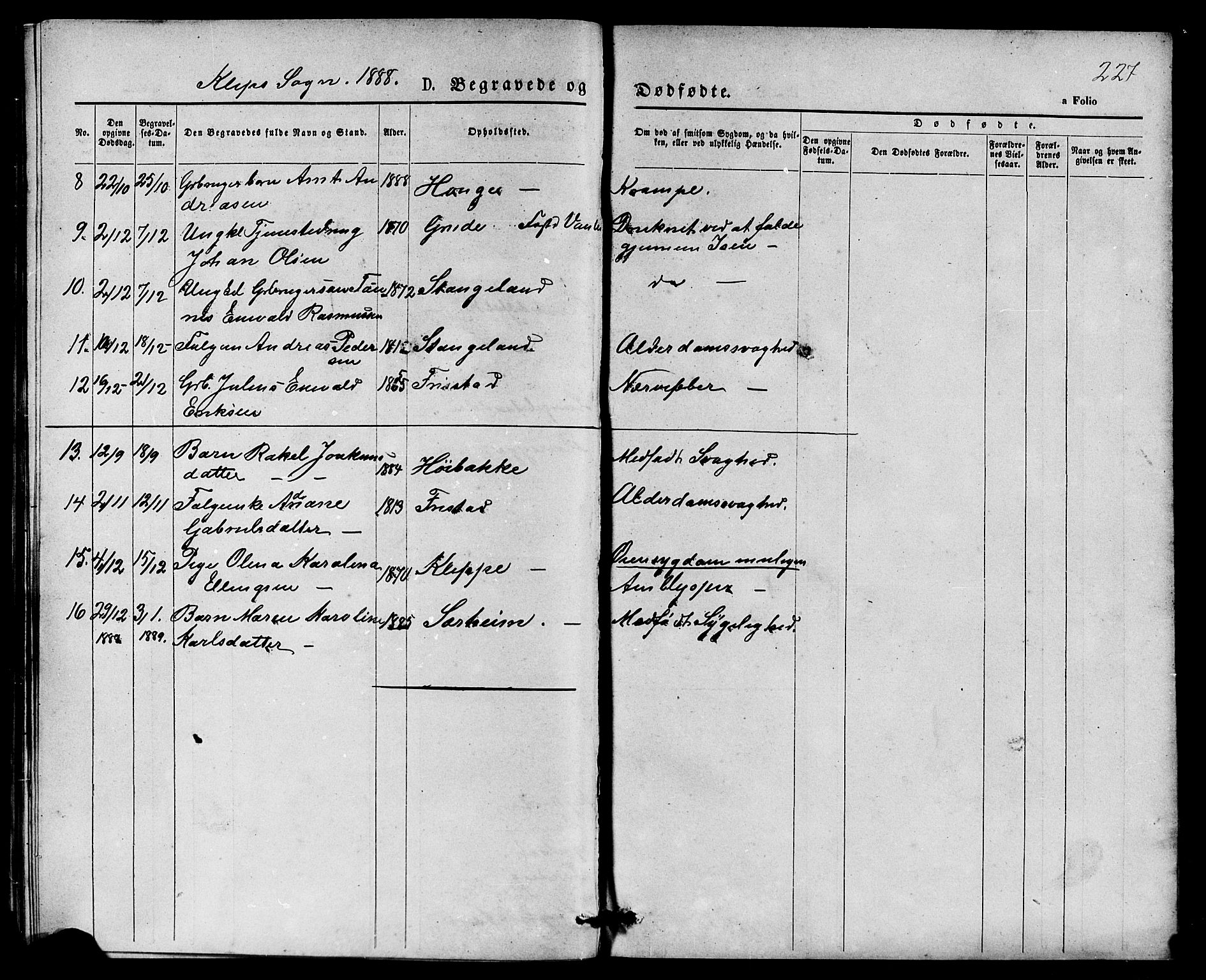 Klepp sokneprestkontor, AV/SAST-A-101803/001/3/30BB/L0003: Parish register (copy) no. B 3, 1876-1888, p. 227