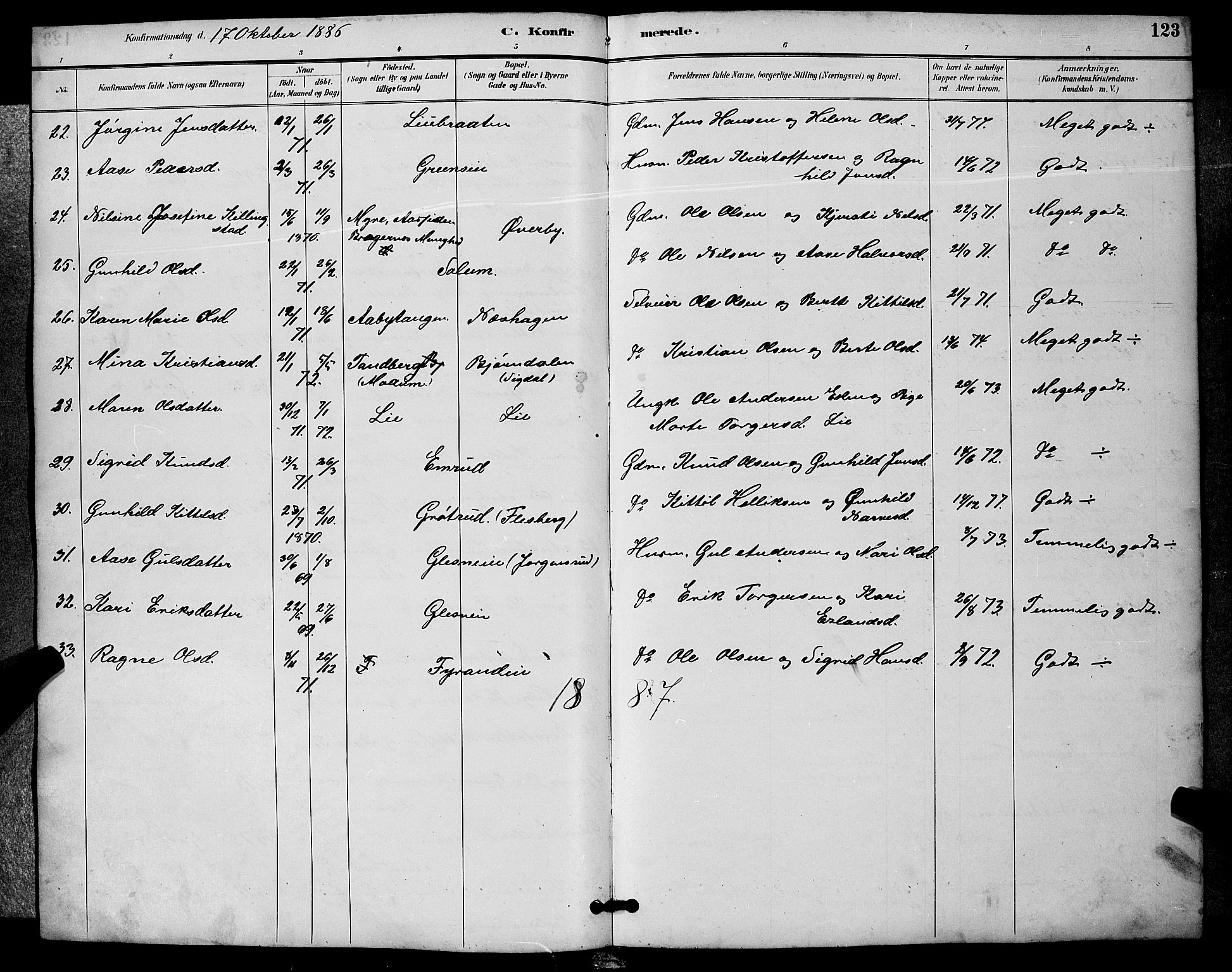 Sigdal kirkebøker, SAKO/A-245/G/Ga/L0005: Parish register (copy) no. I 5, 1886-1900, p. 123