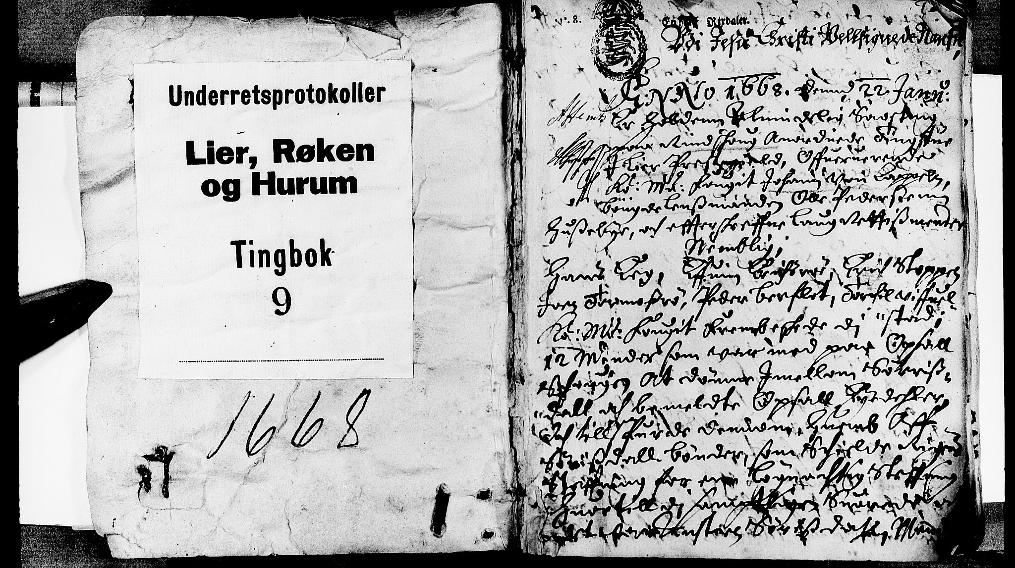 Lier, Røyken og Hurum sorenskriveri, AV/SAKO-A-89/F/Fa/L0009: Tingbok, 1668, p. 1